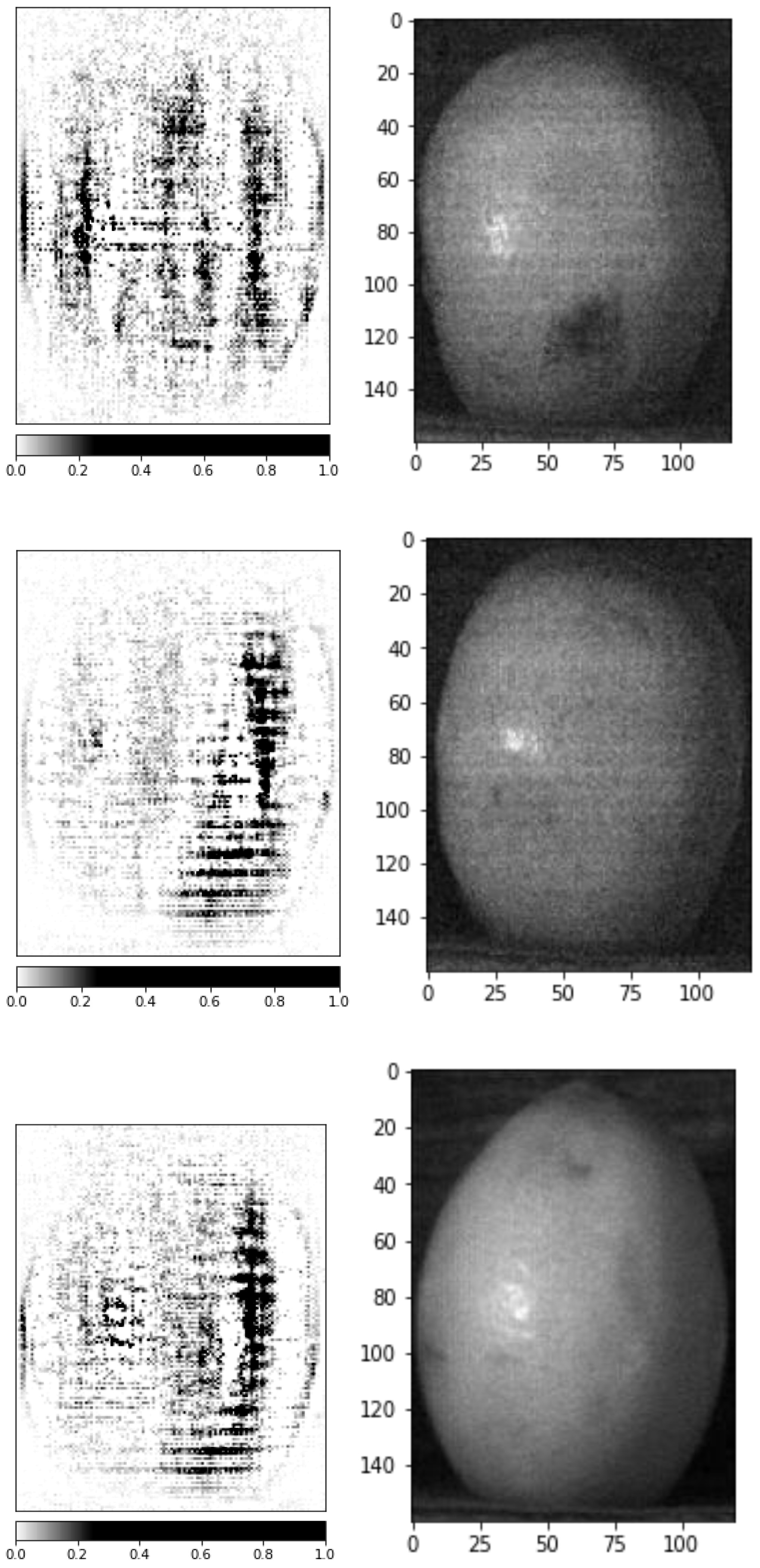 Horticulturae 09 00750 g011