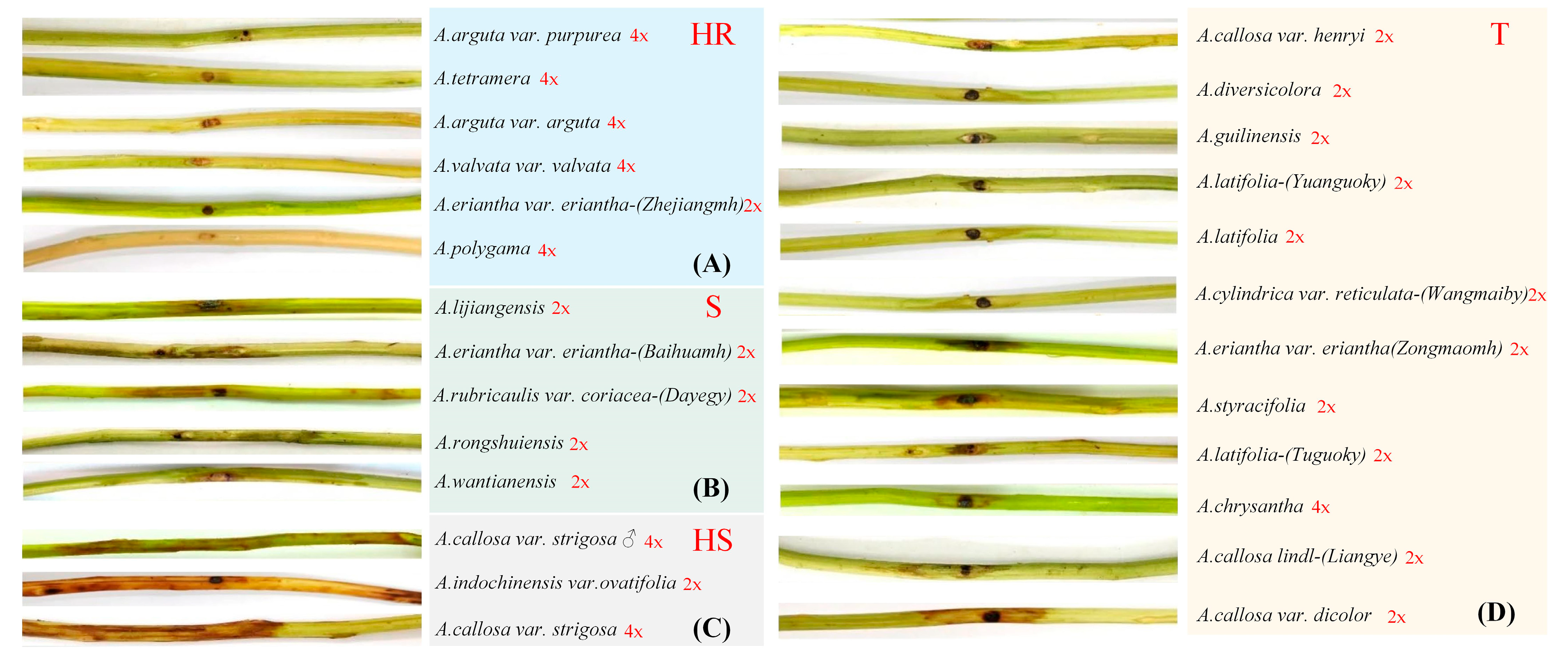 Horticulturae 09 00753 g005