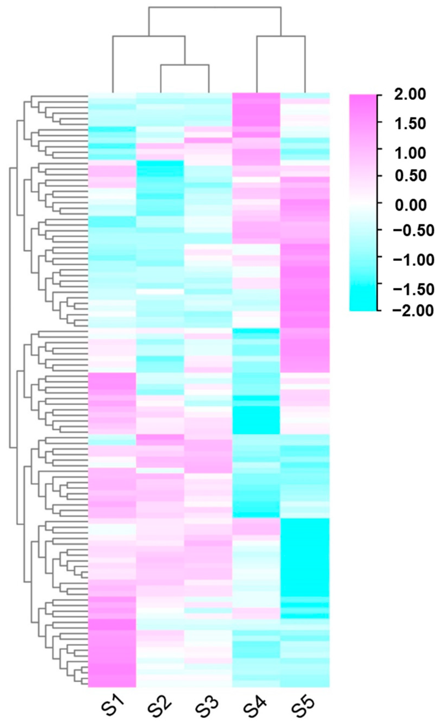 Horticulturae 09 00756 g005 Horticulturae 09 00756 g005