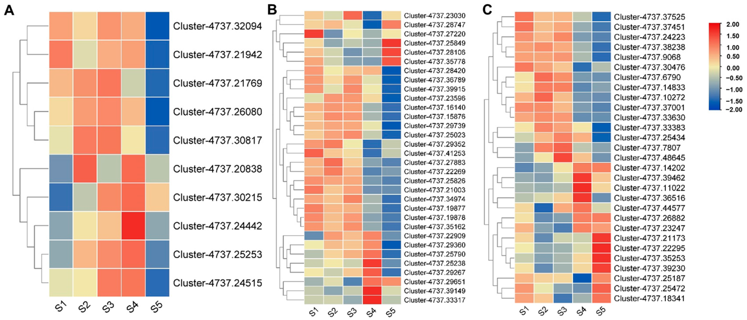 Horticulturae 09 00756 g010 Horticulturae 09 00756 g010