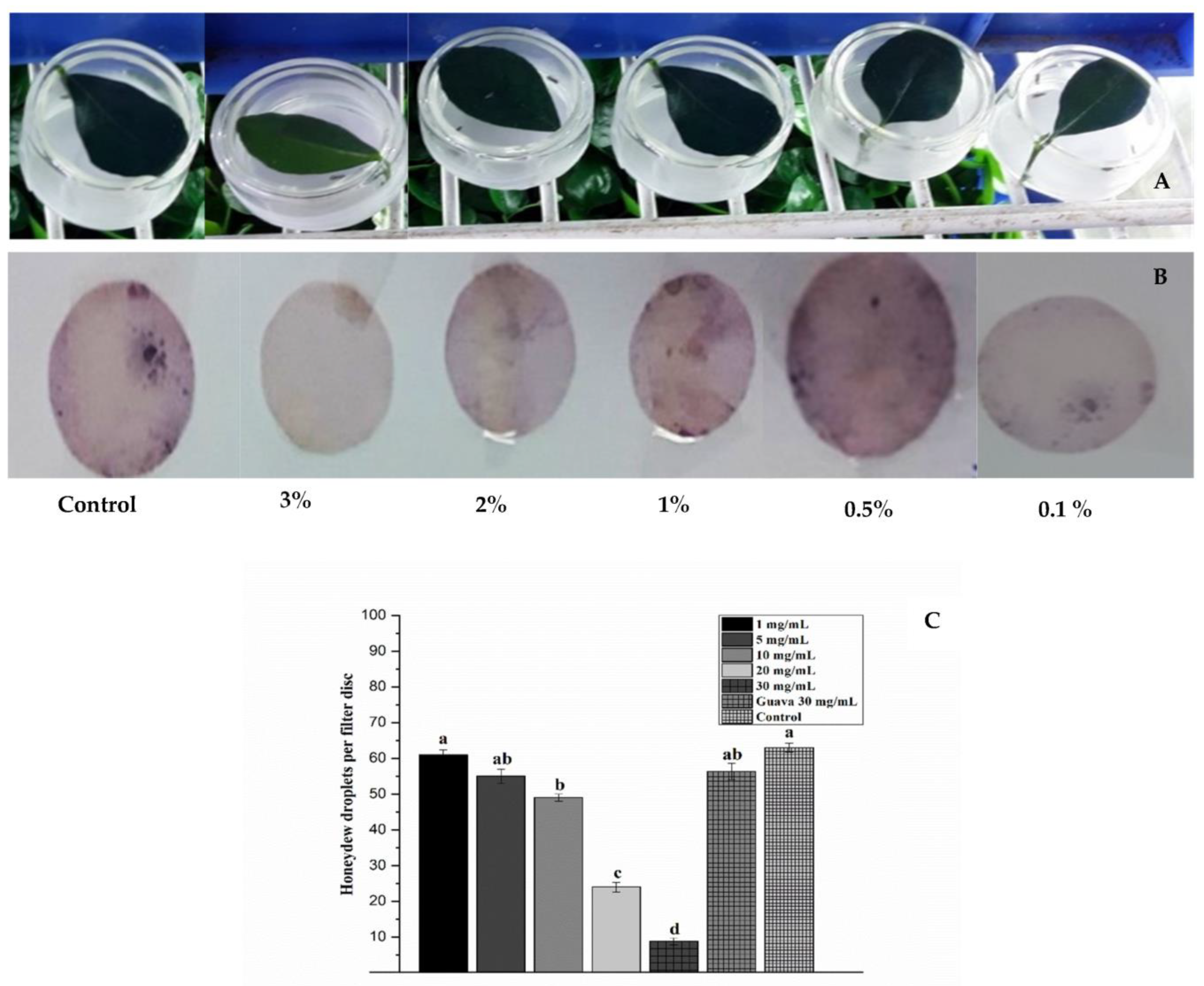 Horticulturae 09 00758 g002 Horticulturae 09 00758 g002