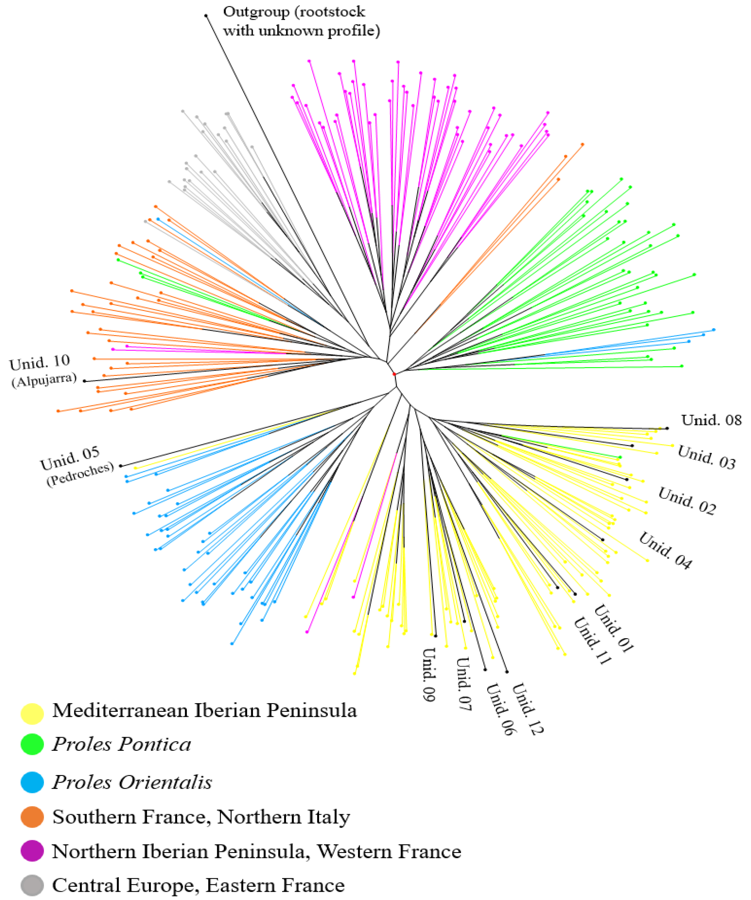 Horticulturae 09 00759 g002