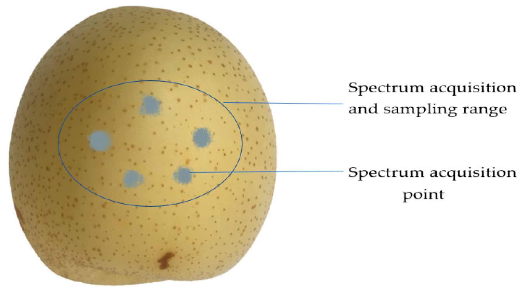 Horticulturae 09 00773 g001