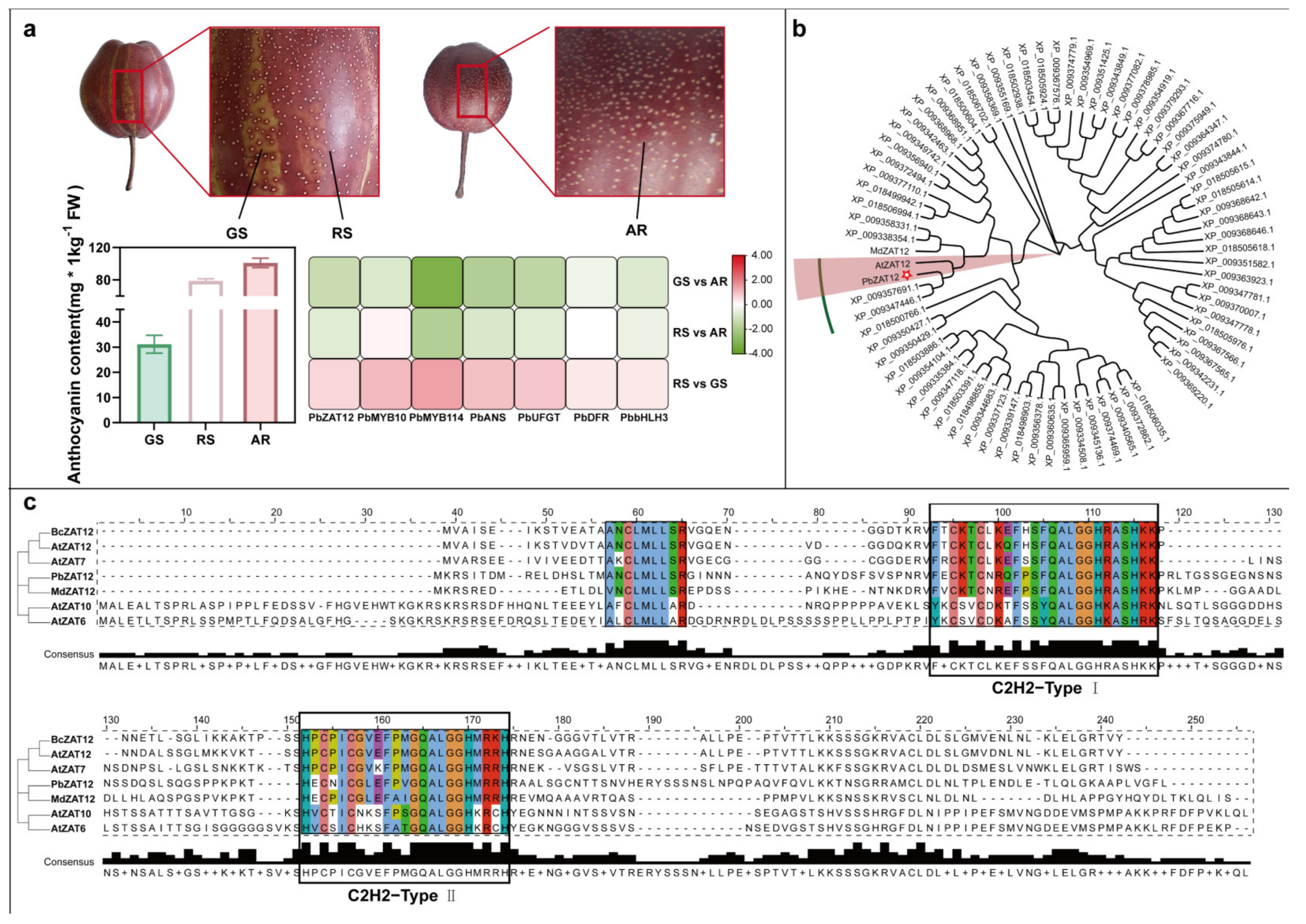 Horticulturae 09 00775 g001 Horticulturae 09 00775 g001