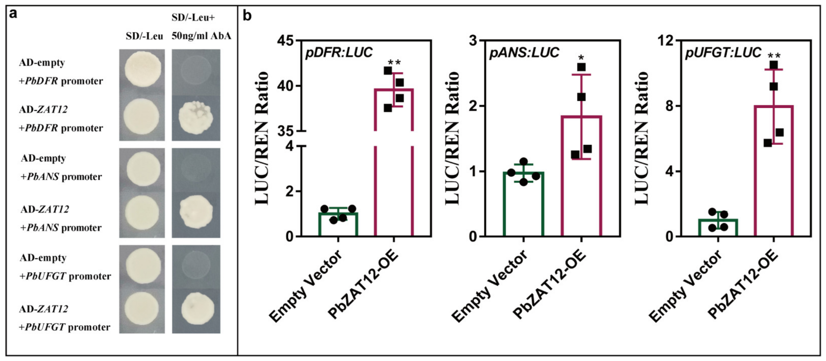 Horticulturae 09 00775 g005 Horticulturae 09 00775 g005
