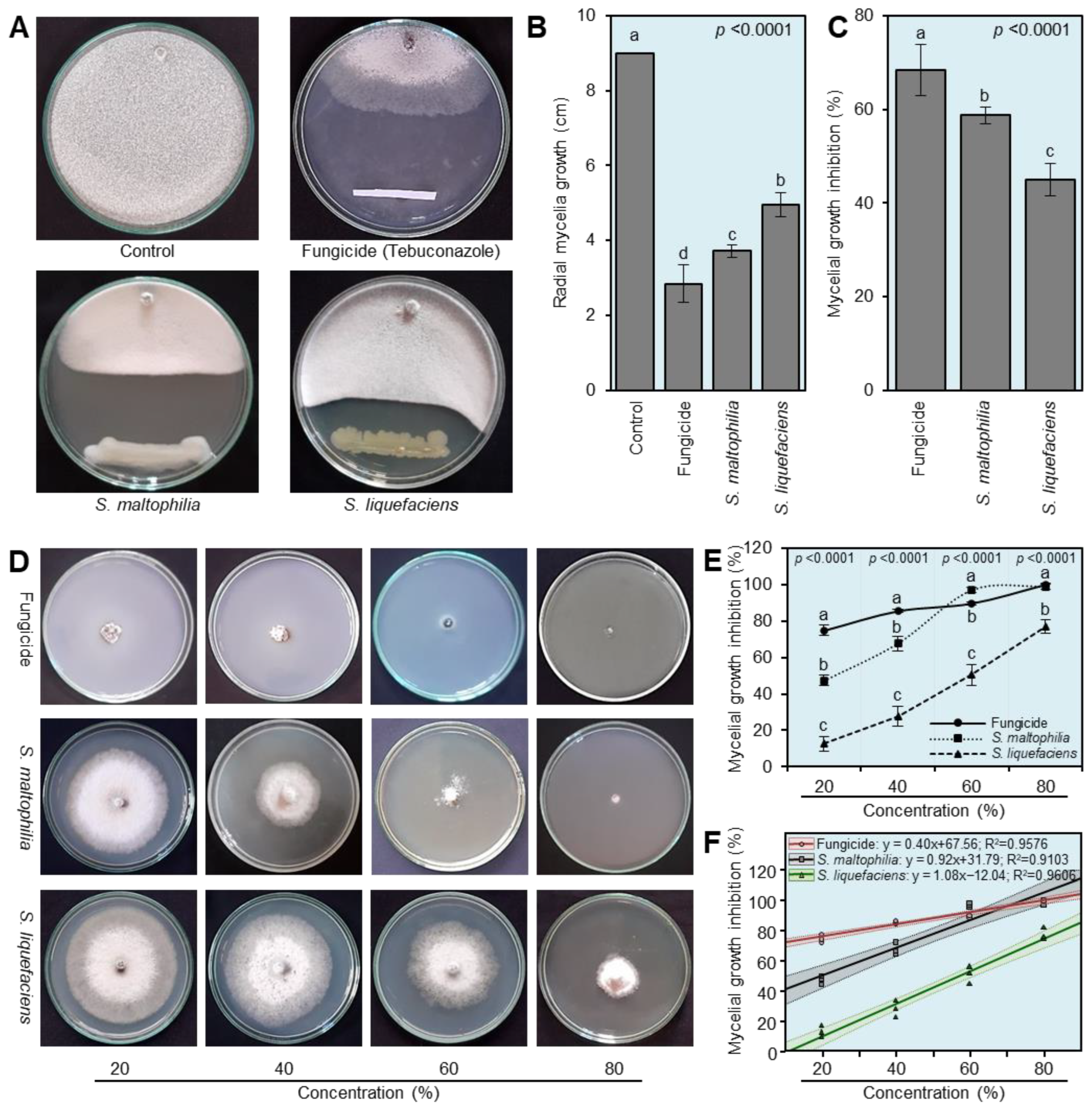 Horticulturae 09 00780 g002 Horticulturae 09 00780 g002