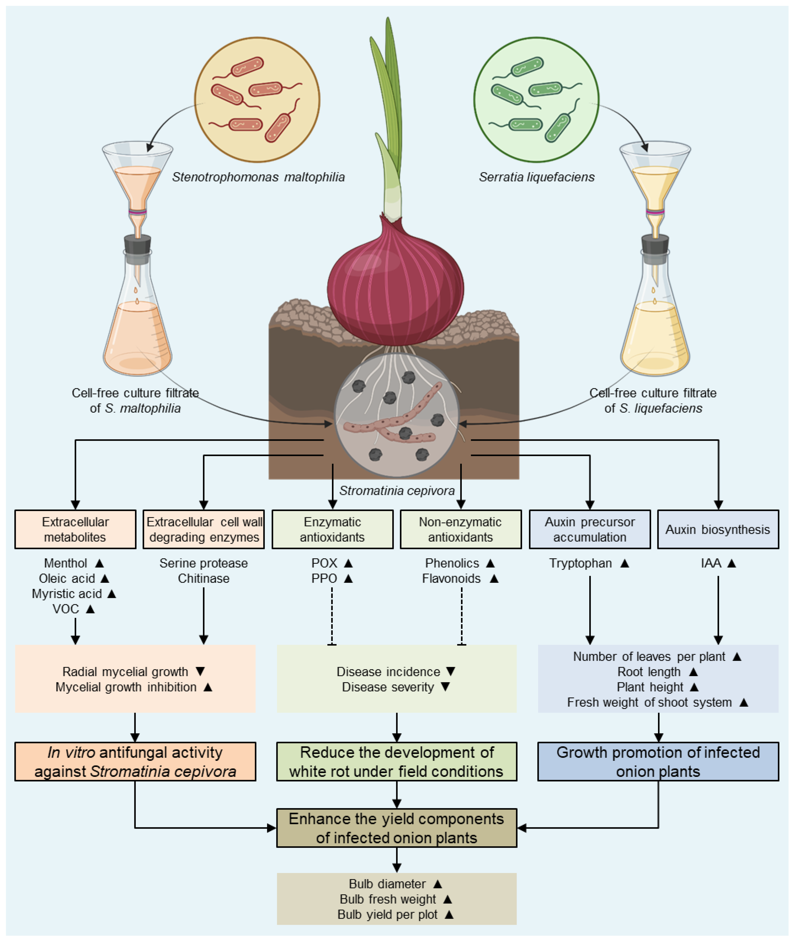 Horticulturae 09 00780 g009 Horticulturae 09 00780 g009
