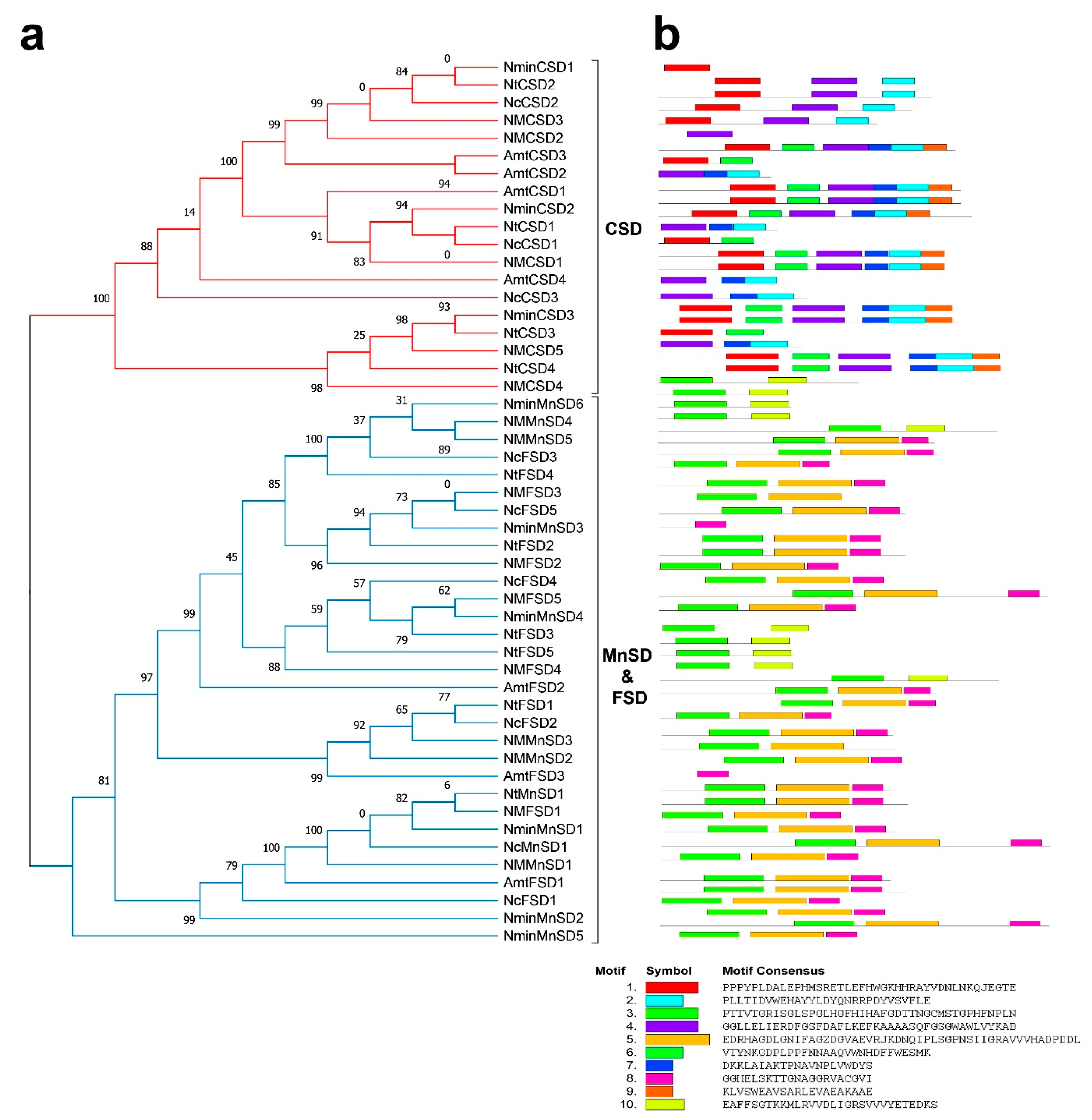 Horticulturae 09 00781 g002 Horticulturae 09 00781 g002