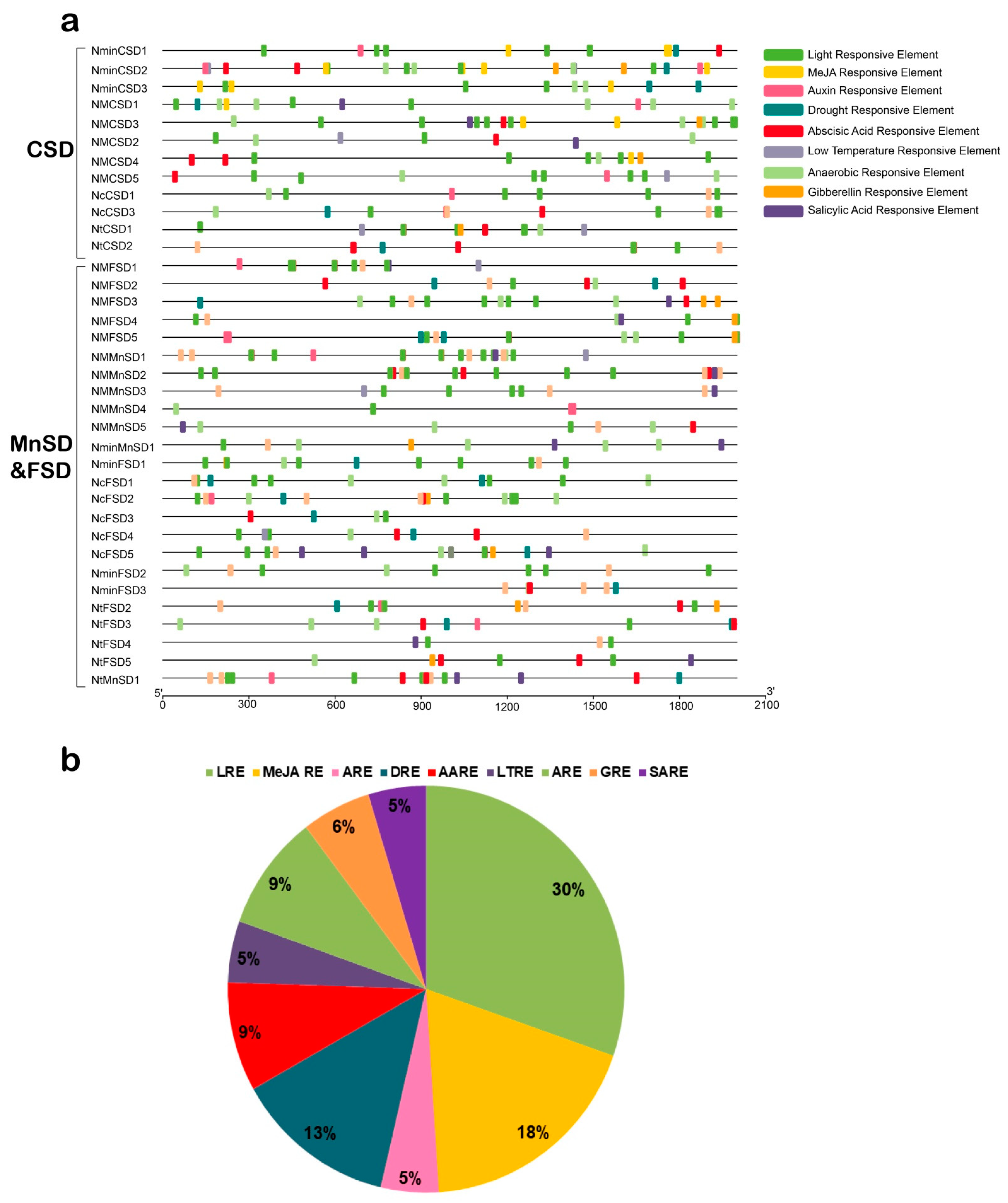 Horticulturae 09 00781 g003 Horticulturae 09 00781 g003