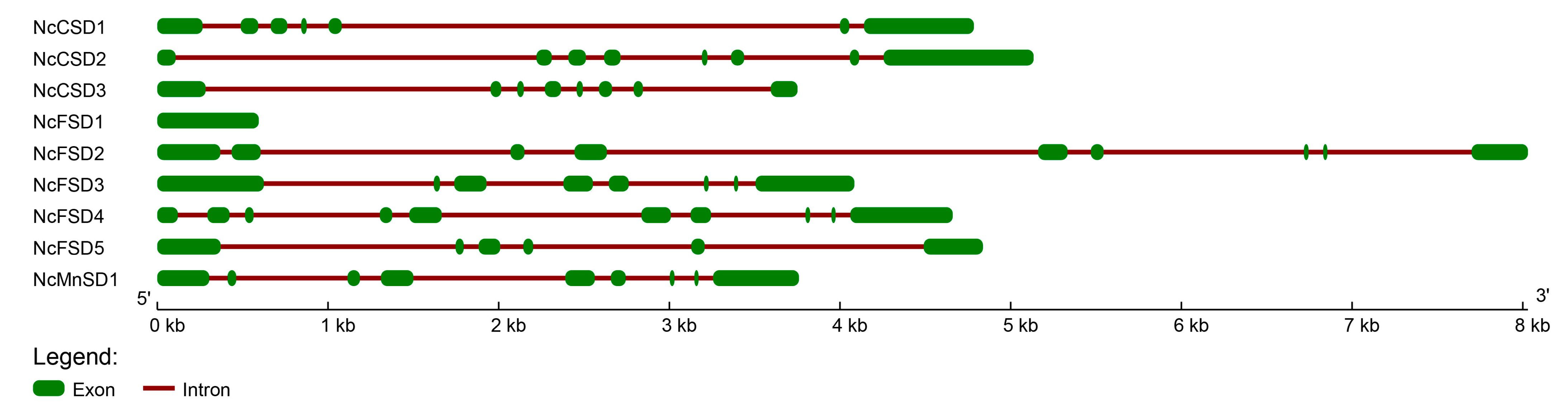 Horticulturae 09 00781 g005 Horticulturae 09 00781 g005