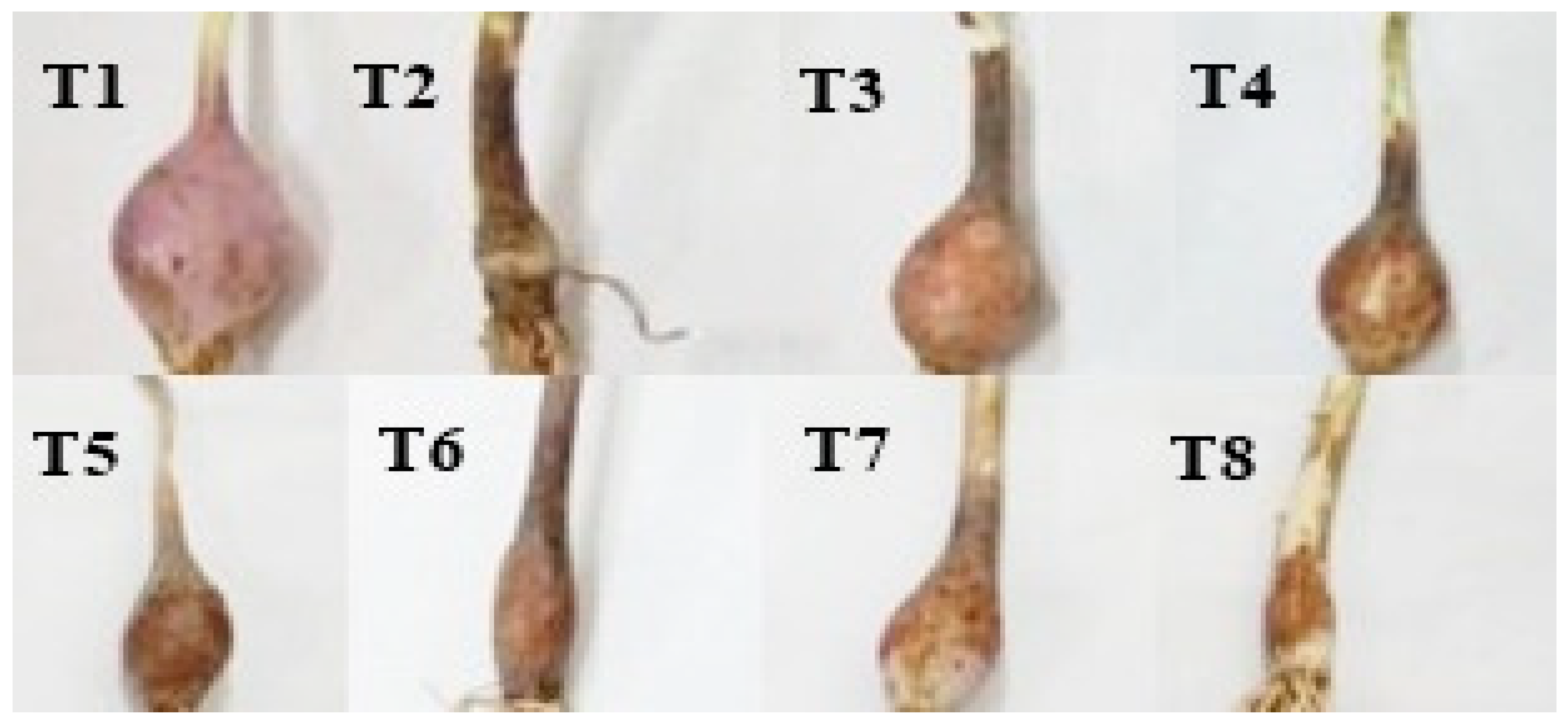 Horticulturae 09 00786 g002