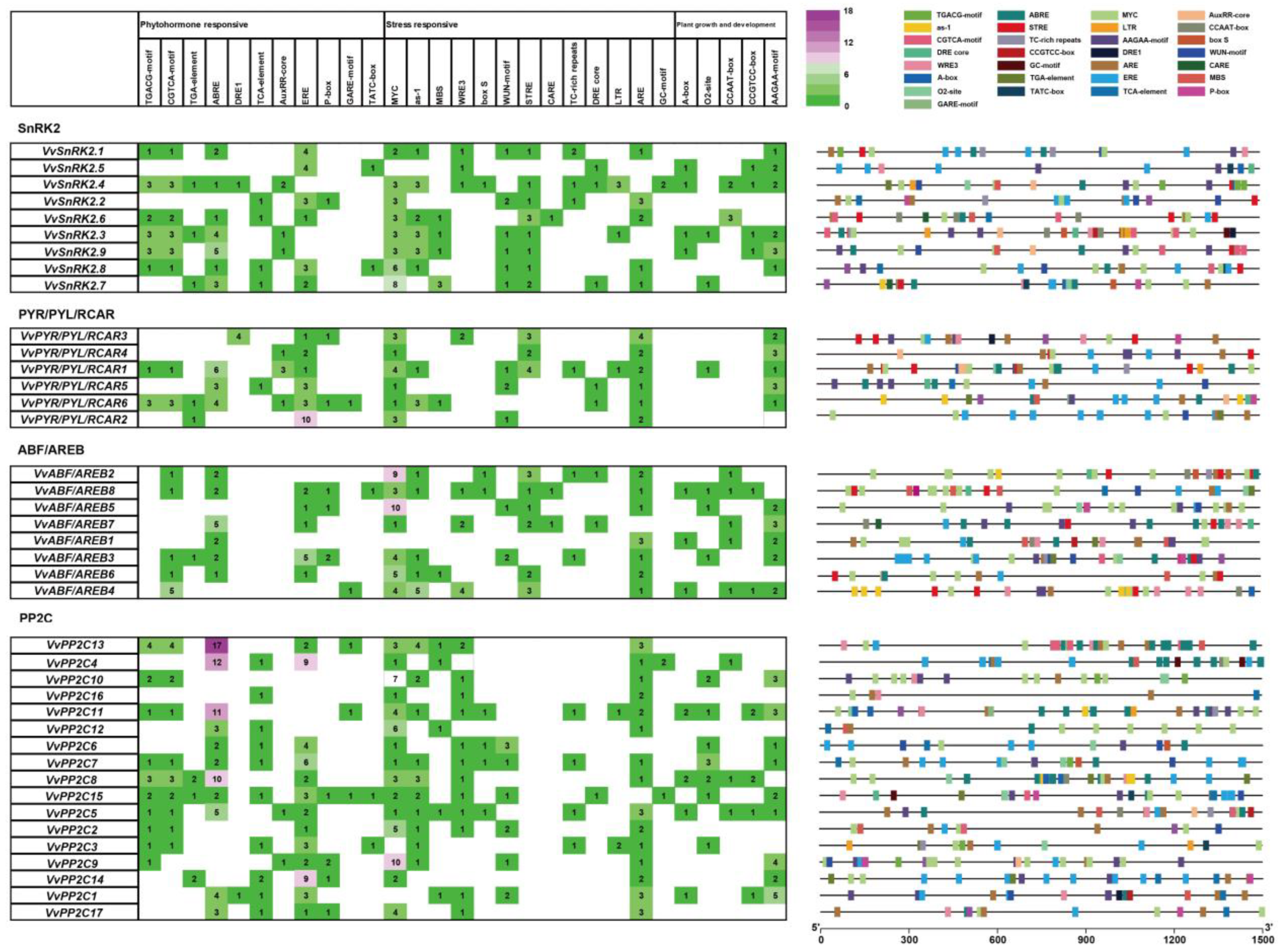 Horticulturae 09 00789 g004