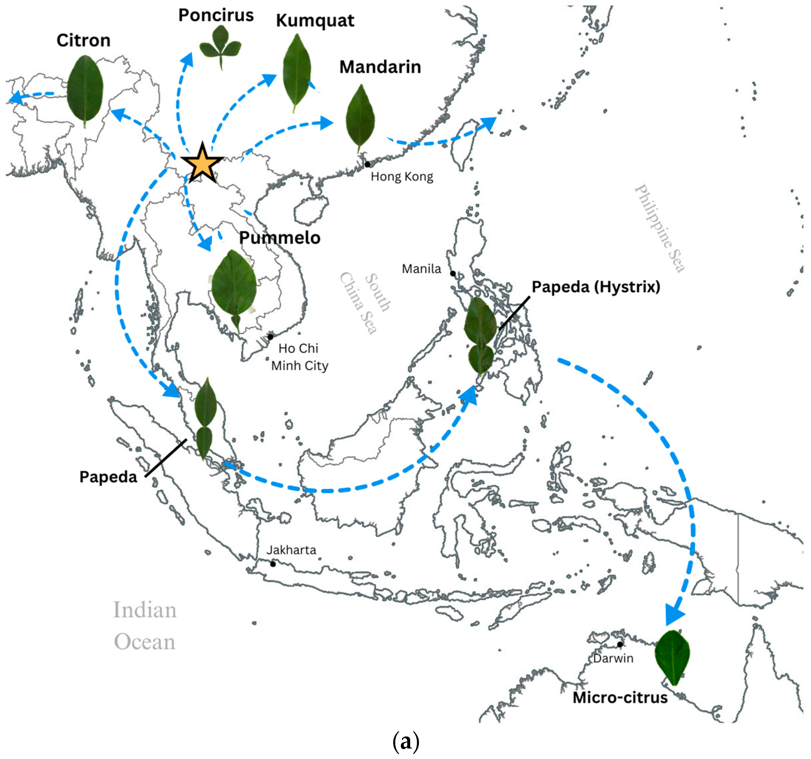Horticulturae 09 00793 g001a Horticulturae 09 00793 g001a