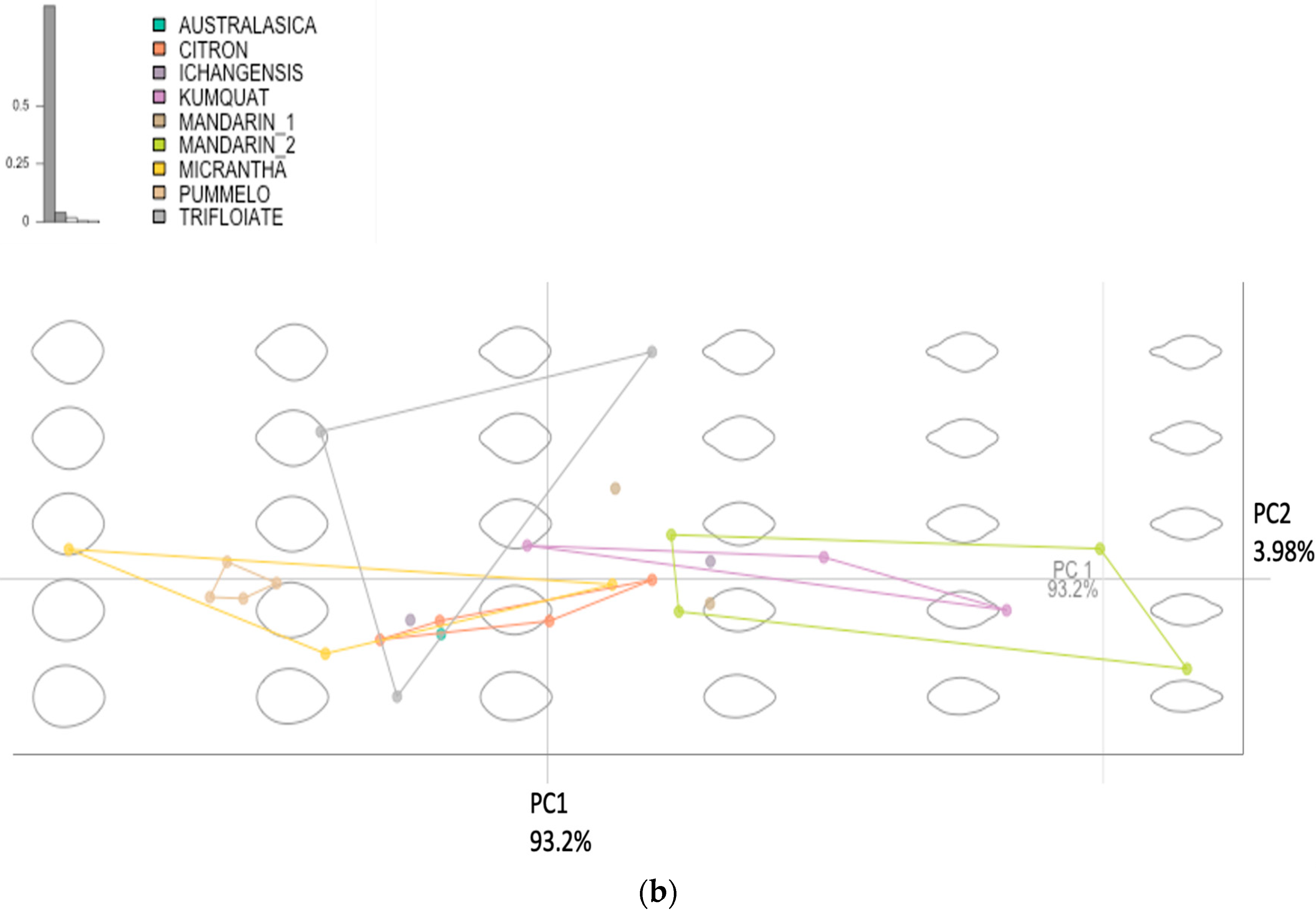Horticulturae 09 00793 g001b Horticulturae 09 00793 g001b