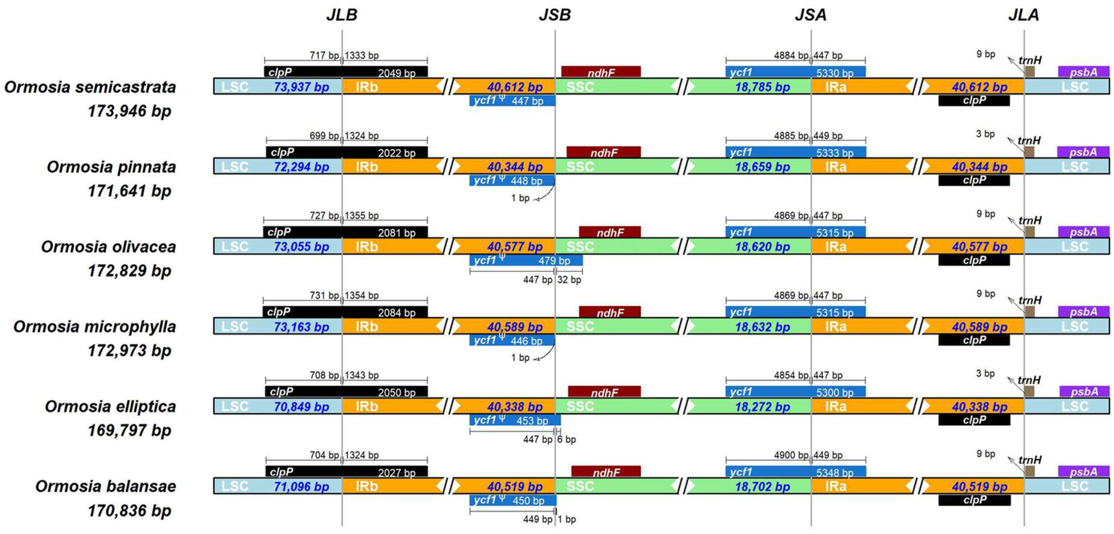 Horticulturae 09 00796 g002
