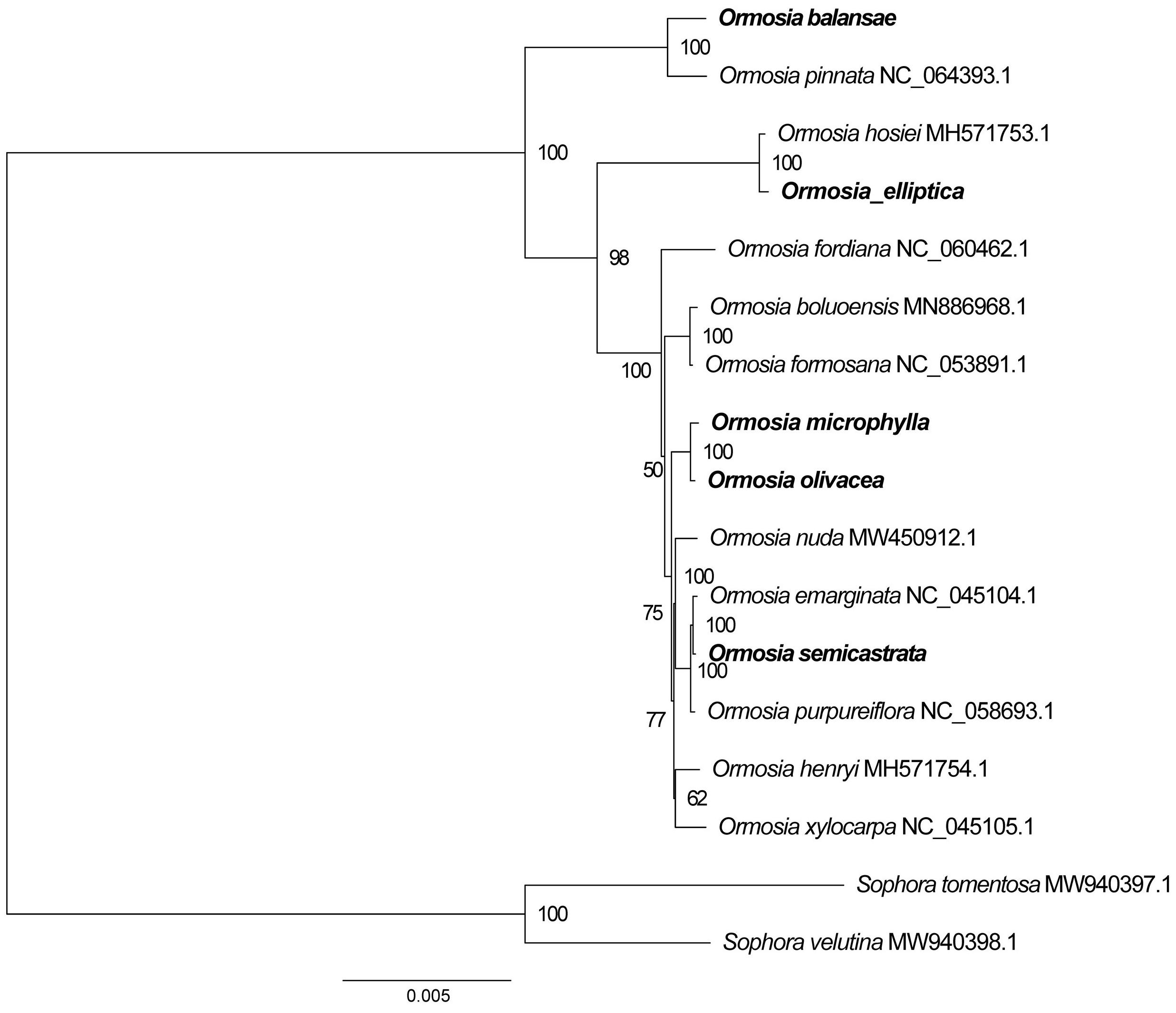 Horticulturae 09 00796 g006