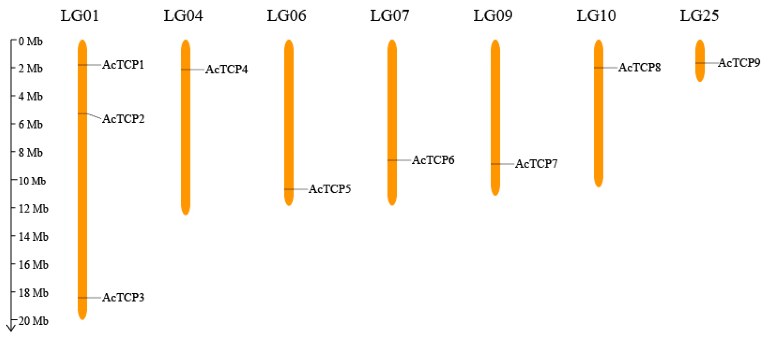 Horticulturae 09 00799 g001