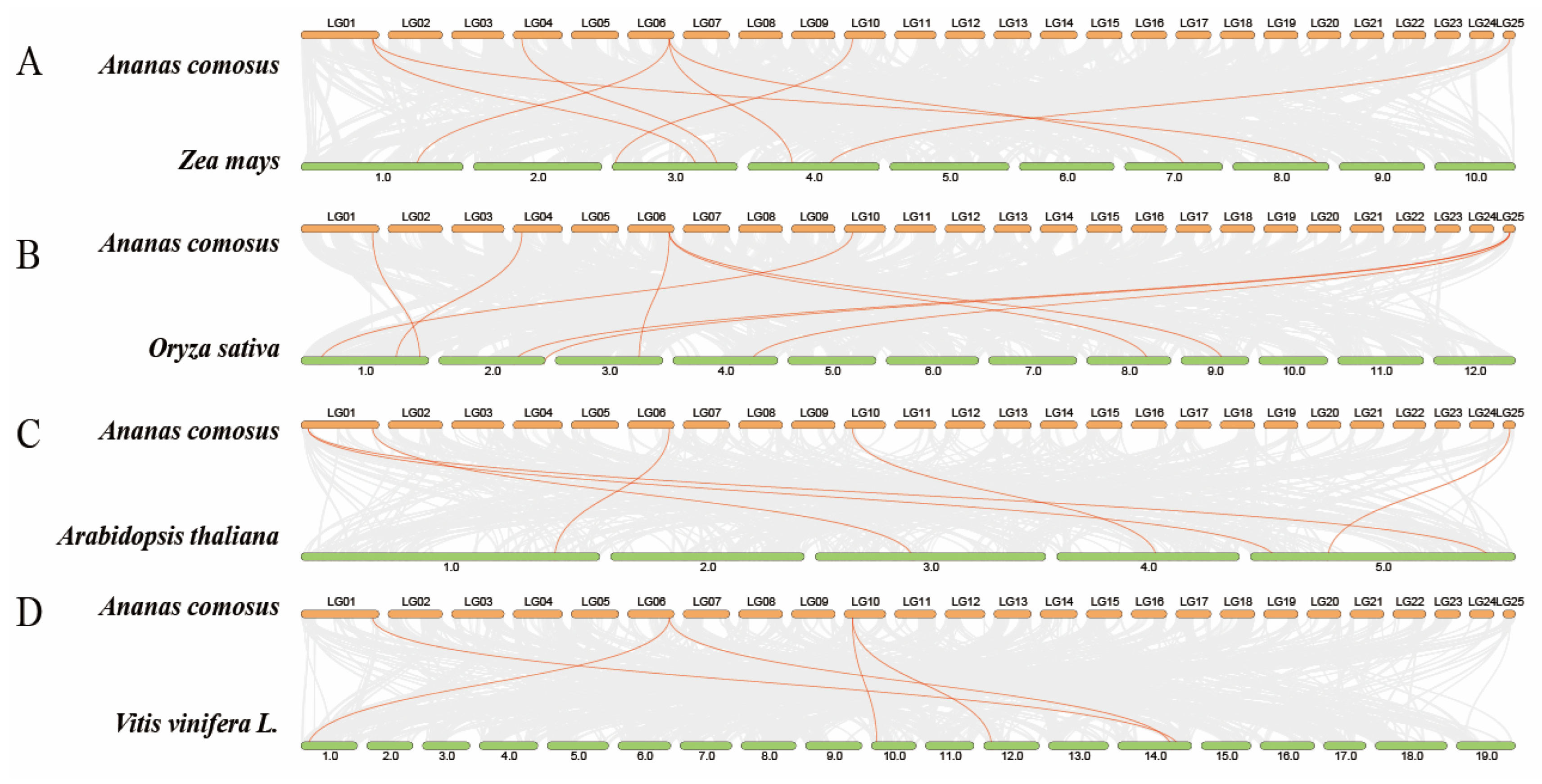 Horticulturae 09 00799 g004