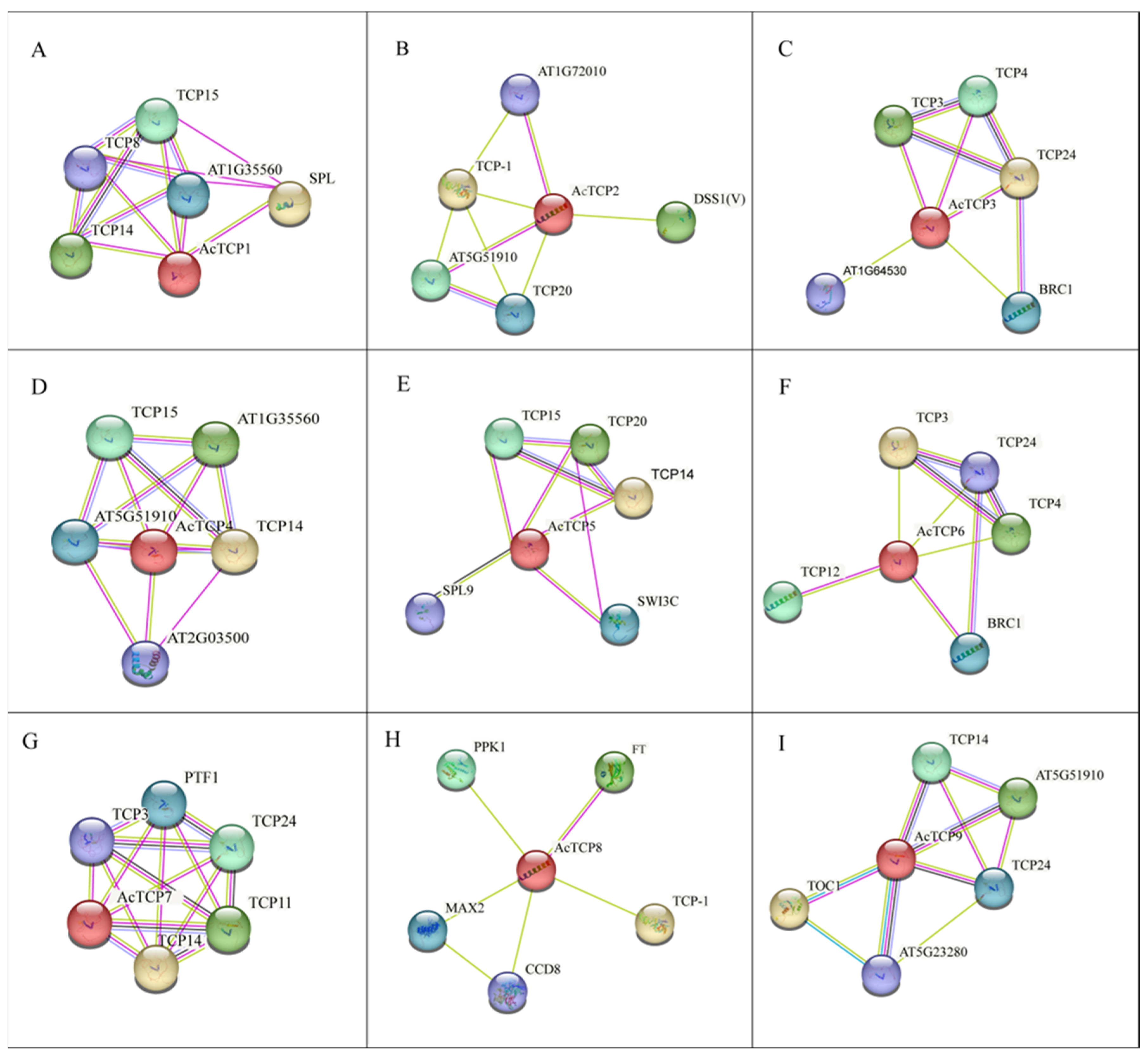 Horticulturae 09 00799 g010