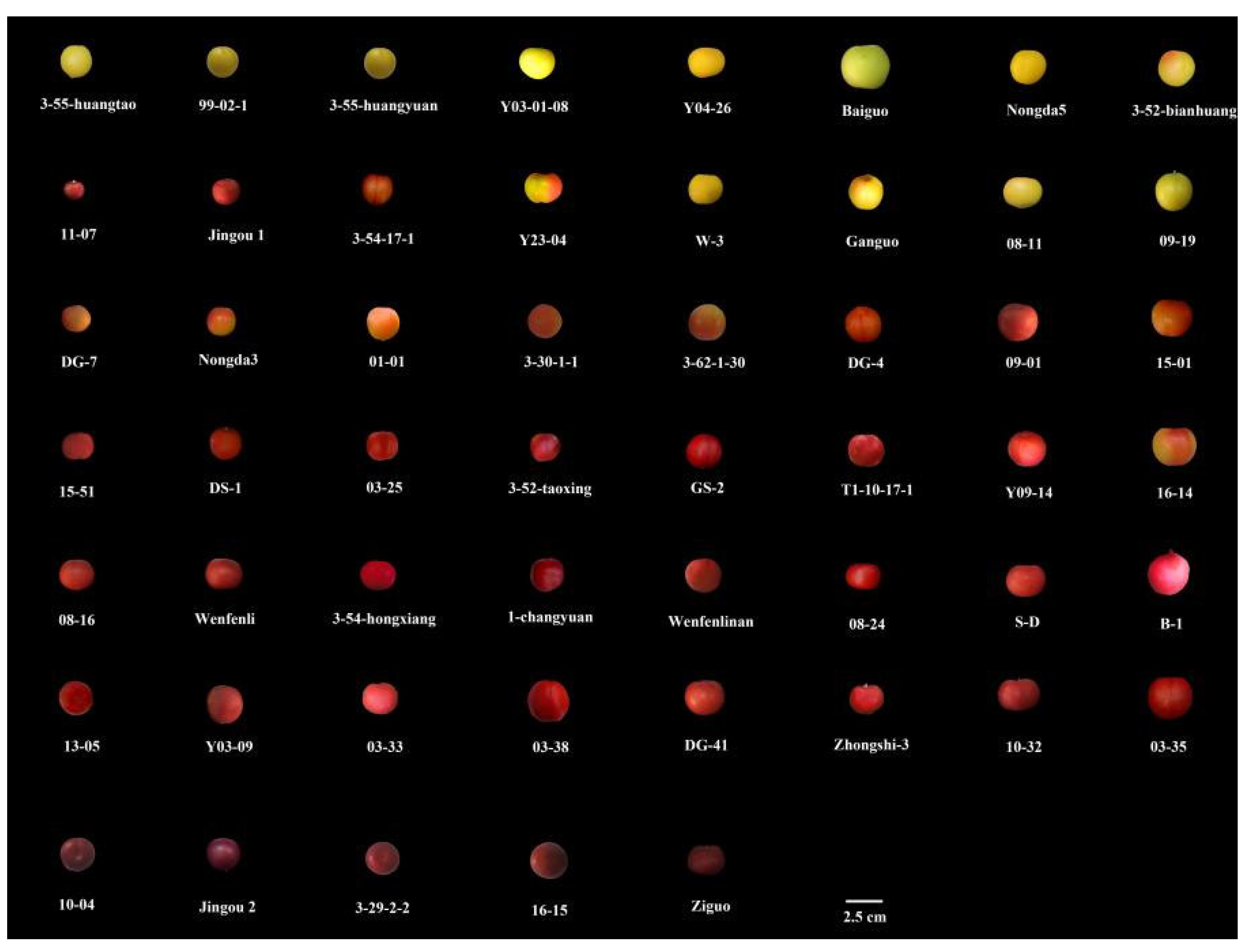 Horticulturae 09 00806 g001 Horticulturae 09 00806 g001