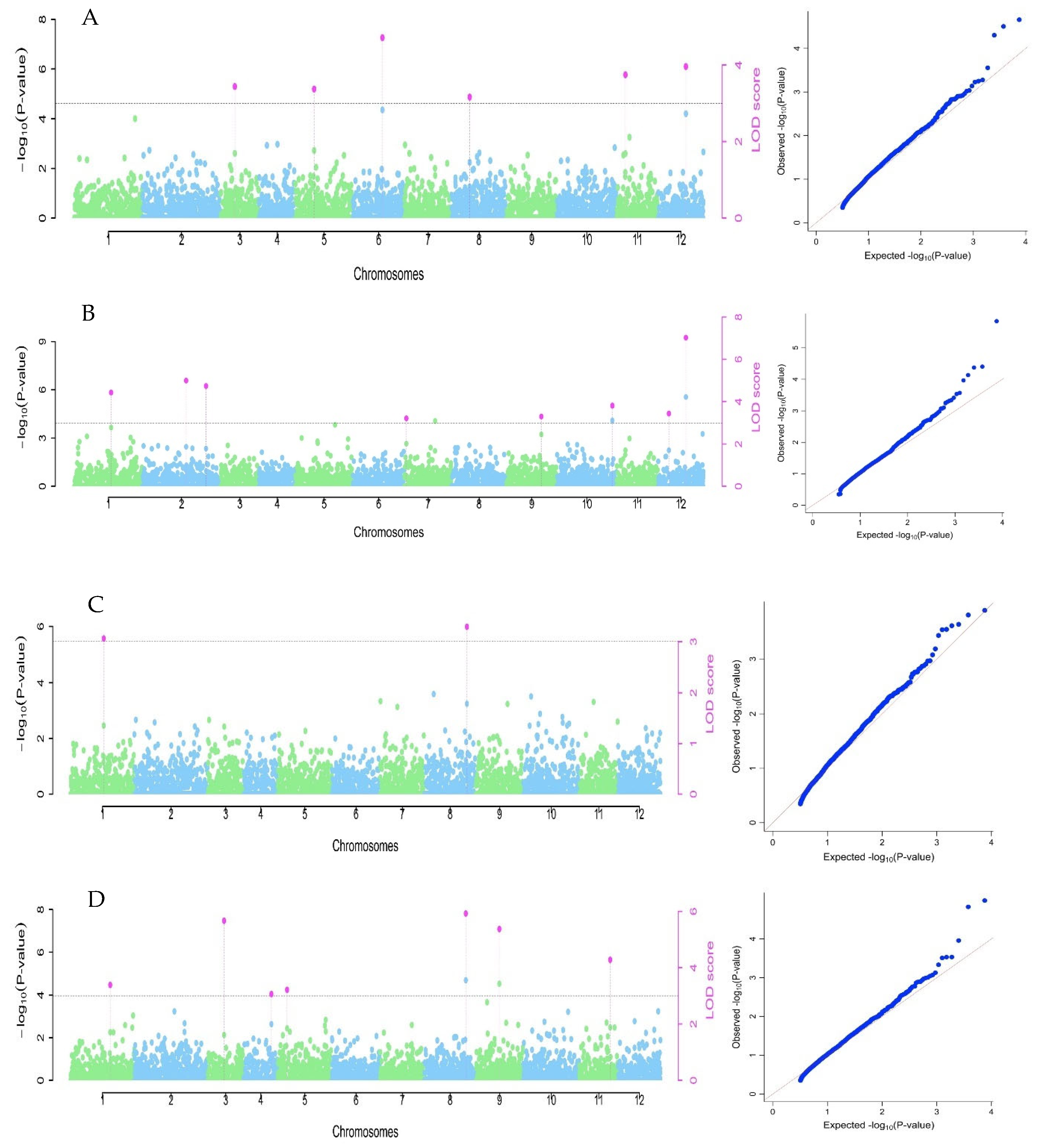 Horticulturae 09 00811 g003 Horticulturae 09 00811 g003