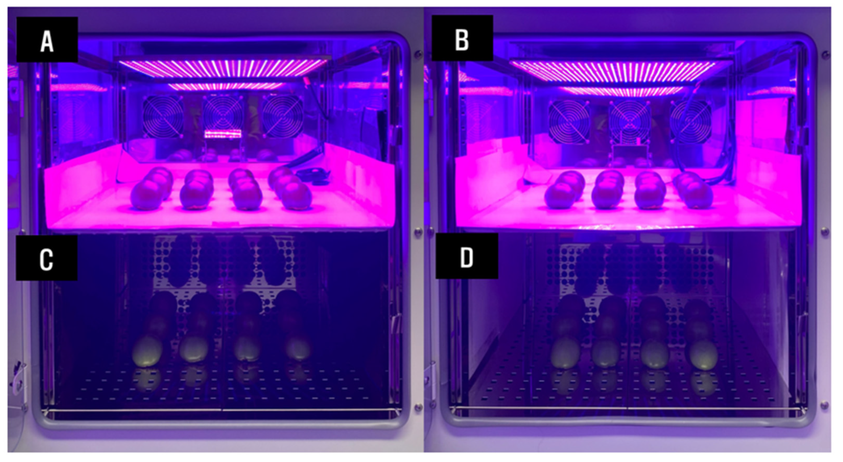Horticulturae 09 00812 g001 Horticulturae 09 00812 g001