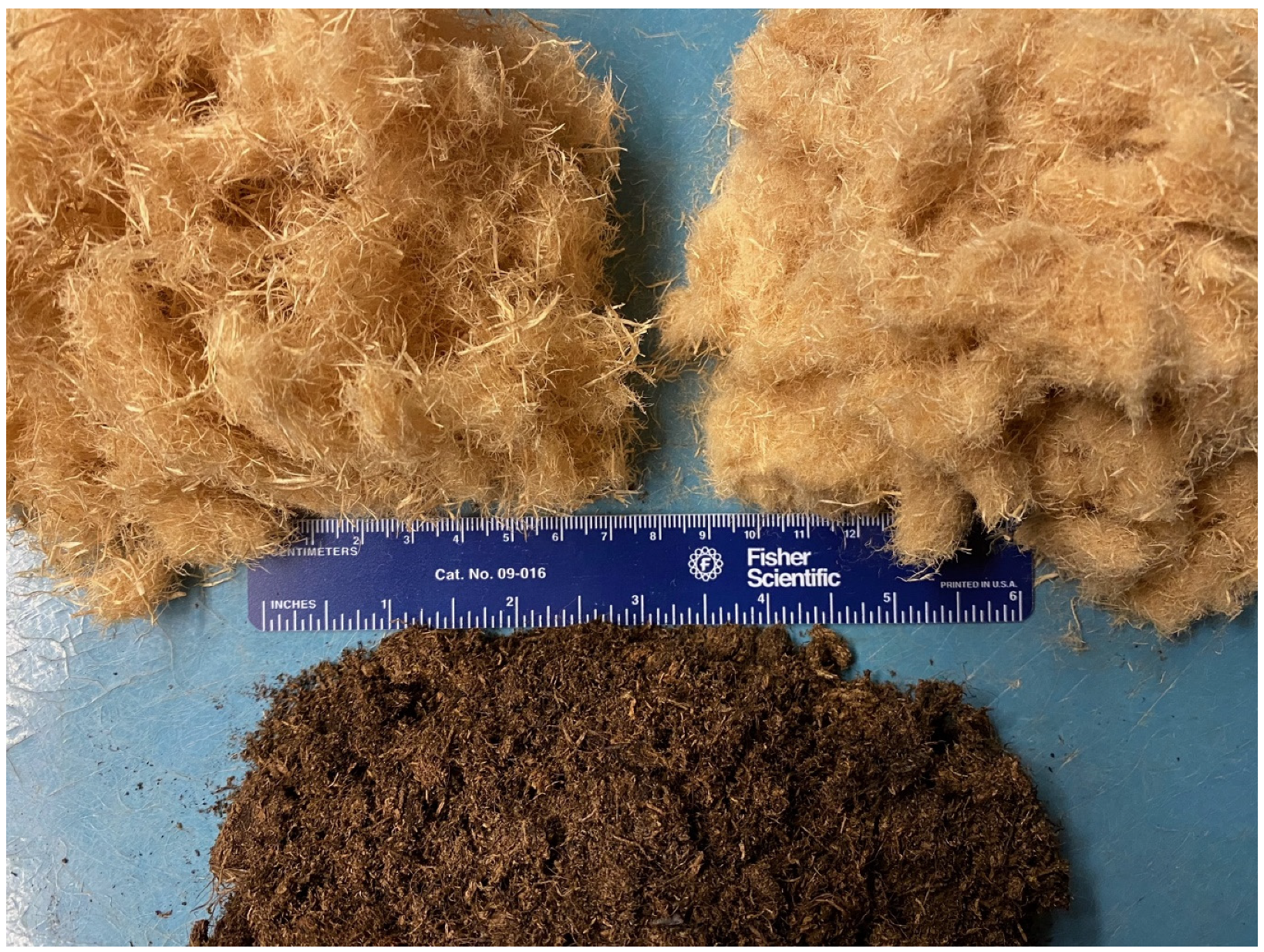 Horticulturae 09 00815 g001