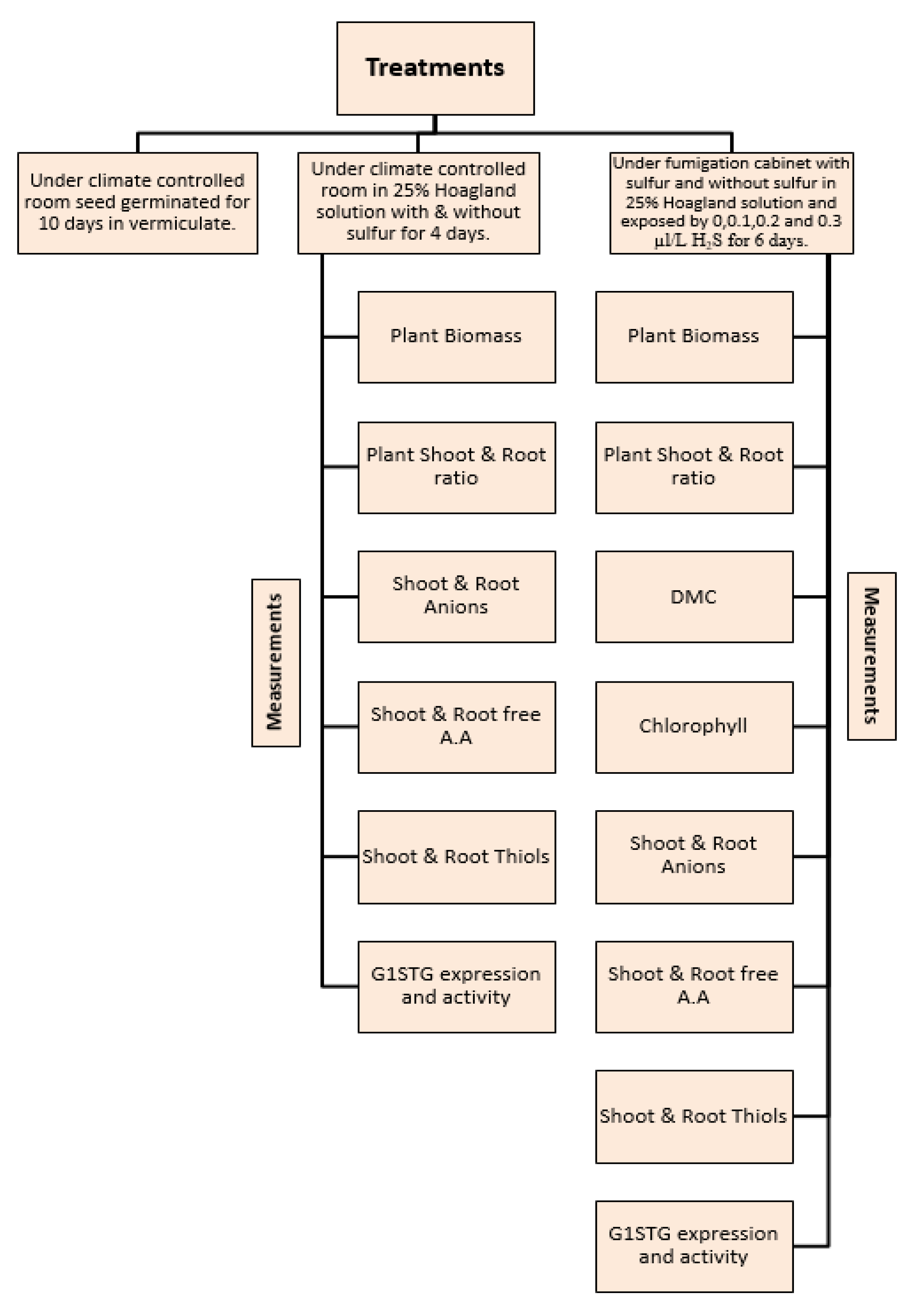 Horticulturae 09 00821 g001