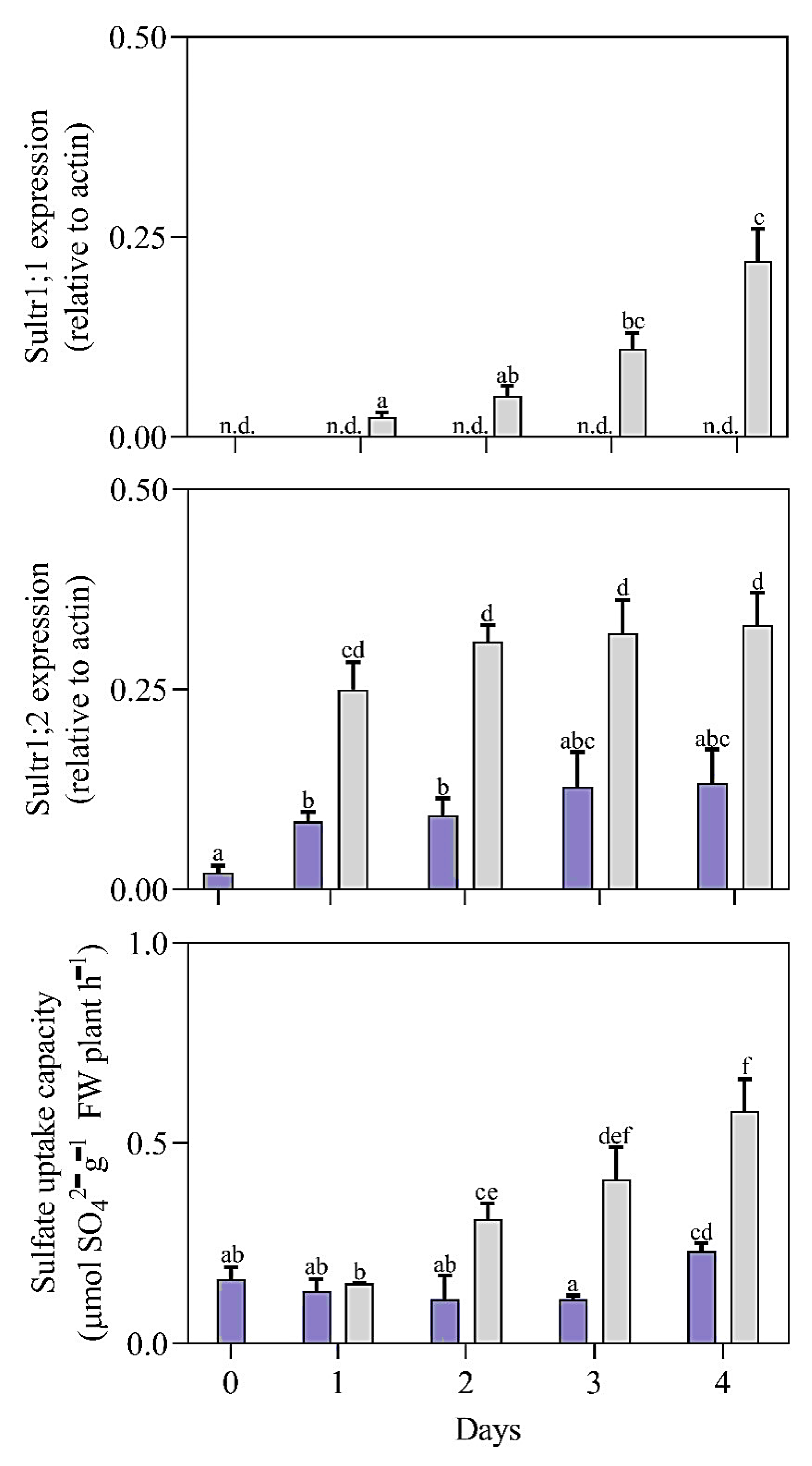 Horticulturae 09 00821 g002