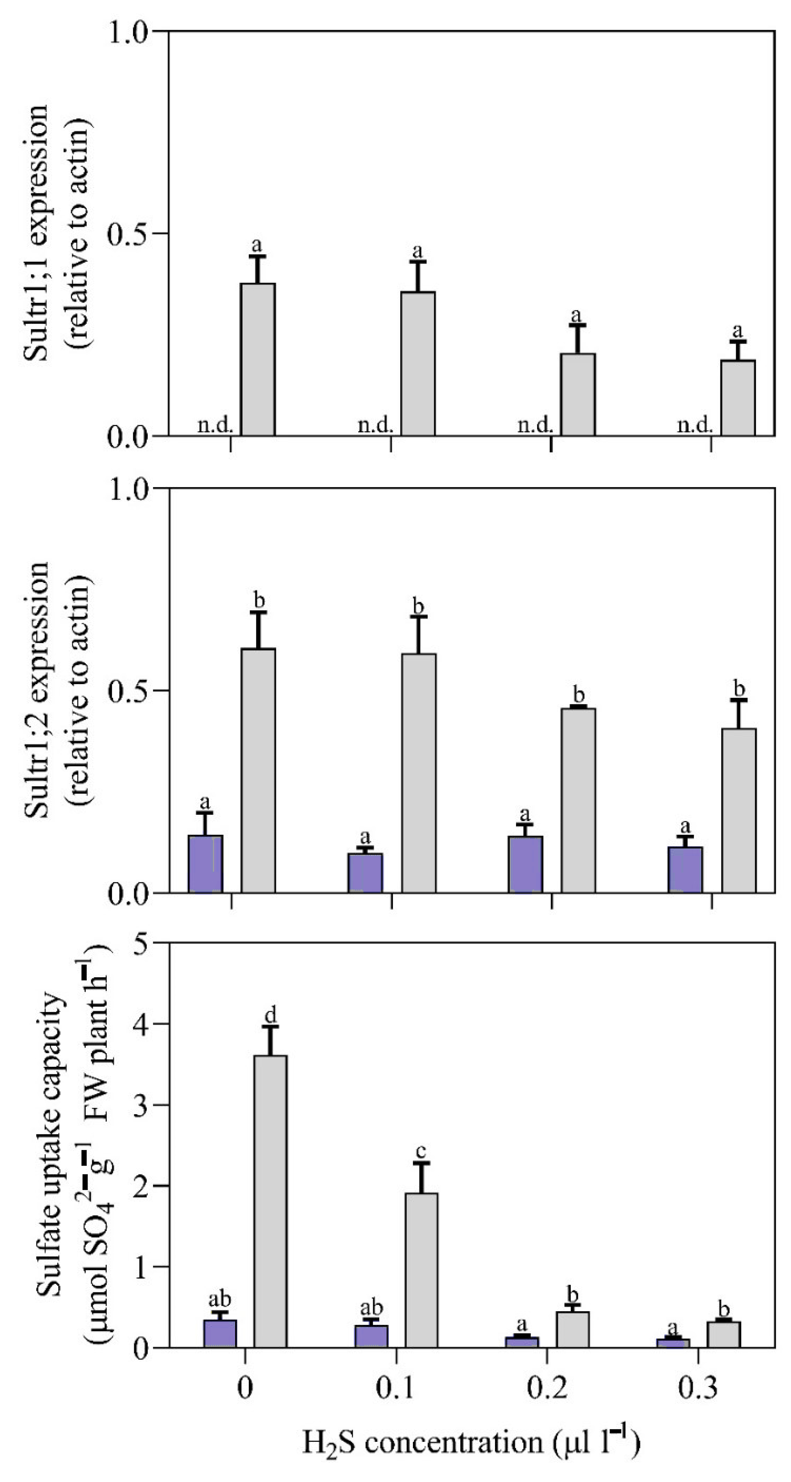 Horticulturae 09 00821 g003