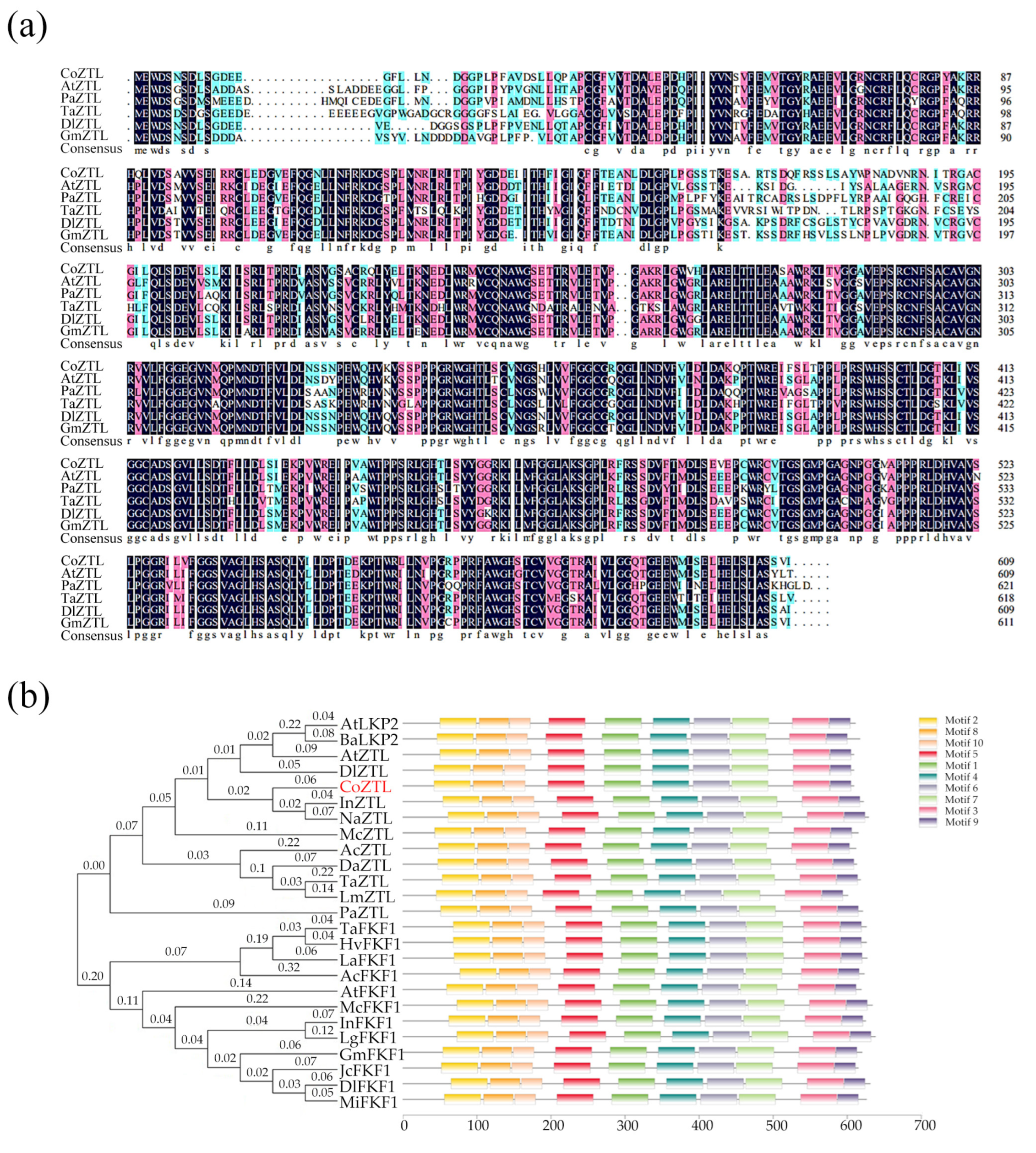 Horticulturae 09 00833 g002