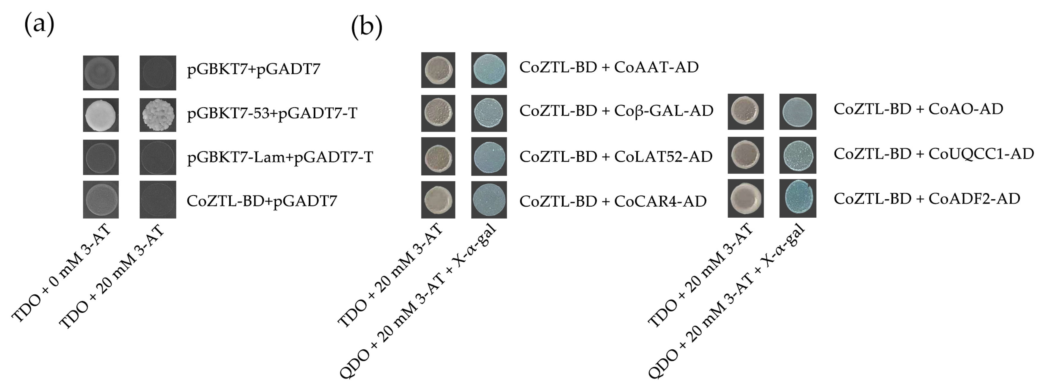 Horticulturae 09 00833 g005