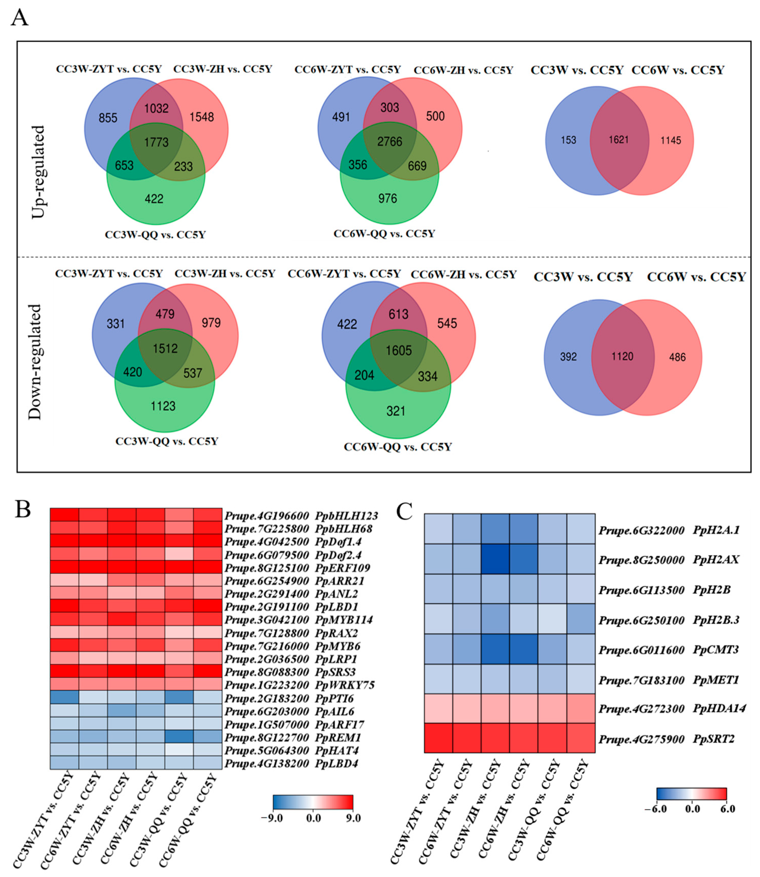 Horticulturae 09 00850 g003