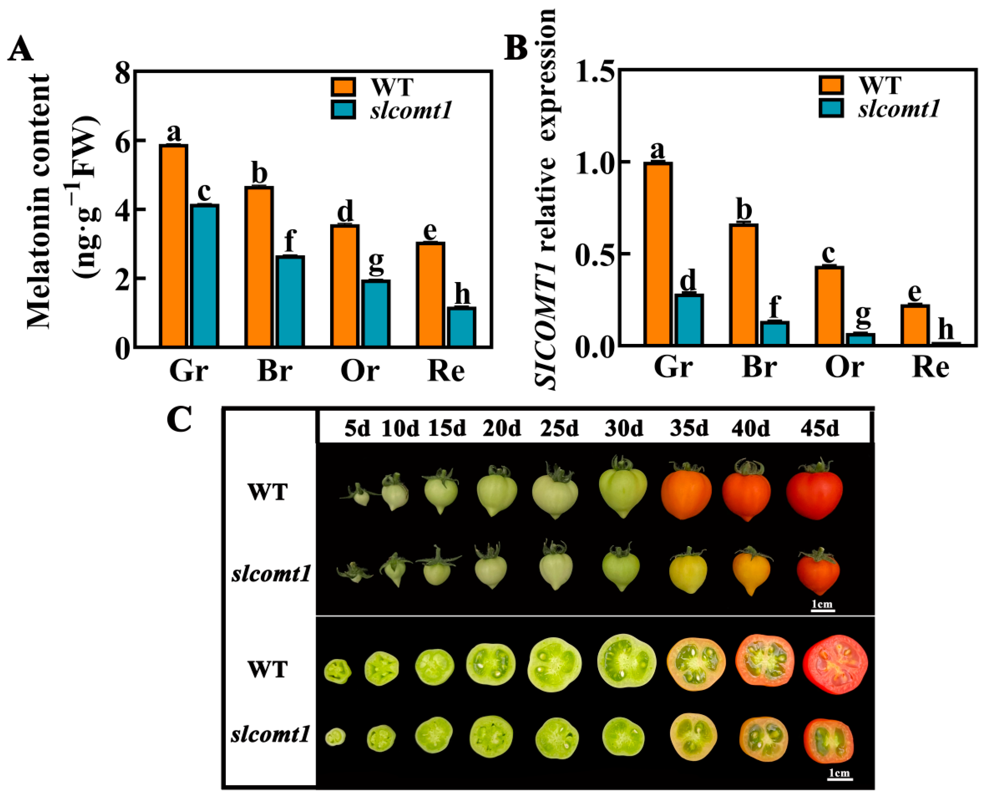 Horticulturae 09 00851 g001