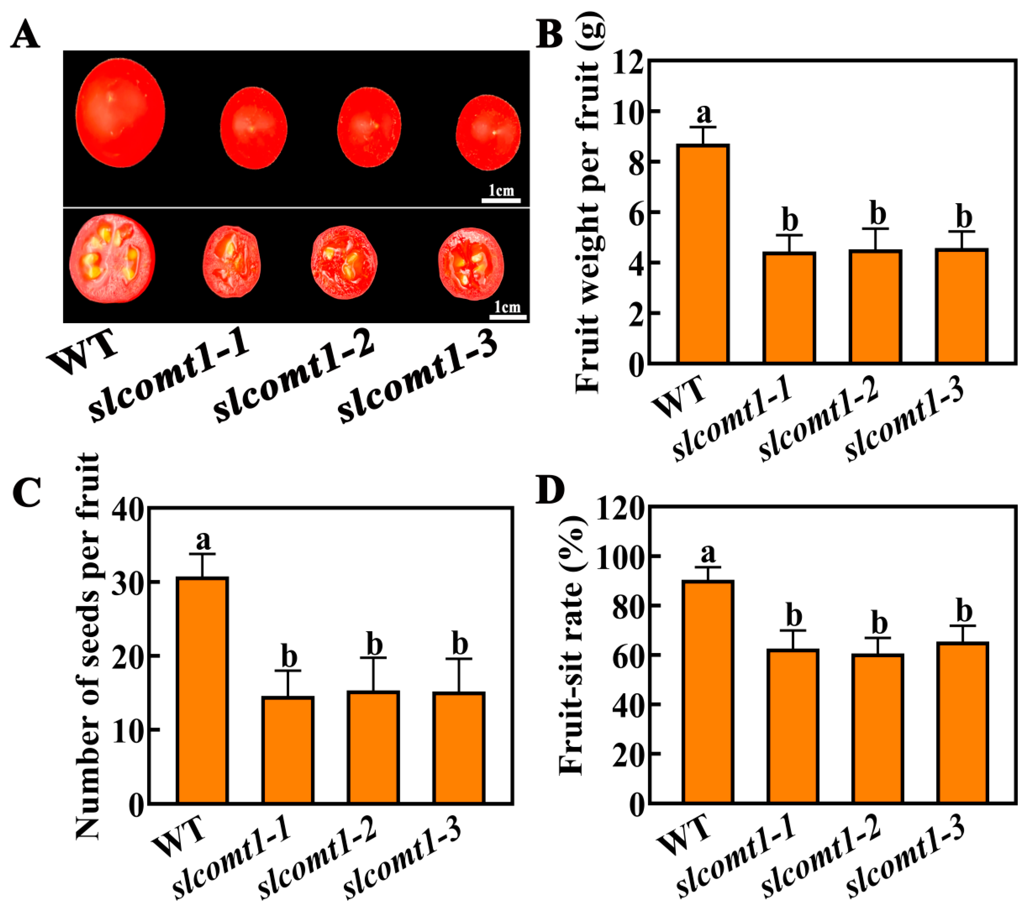 Horticulturae 09 00851 g002