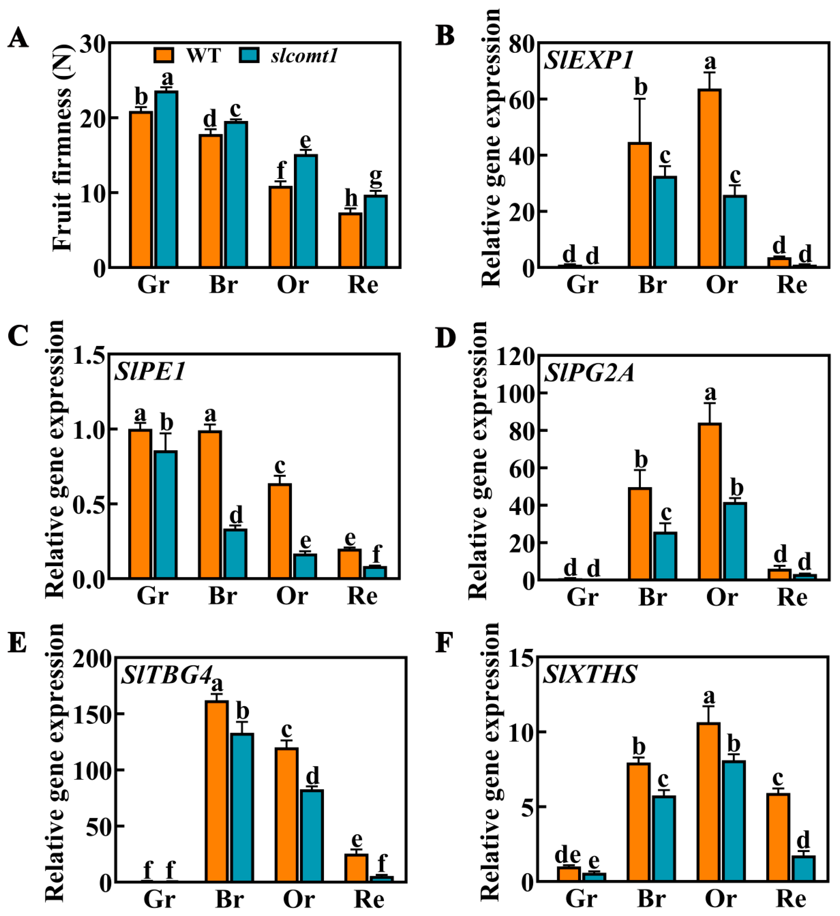 Horticulturae 09 00851 g004
