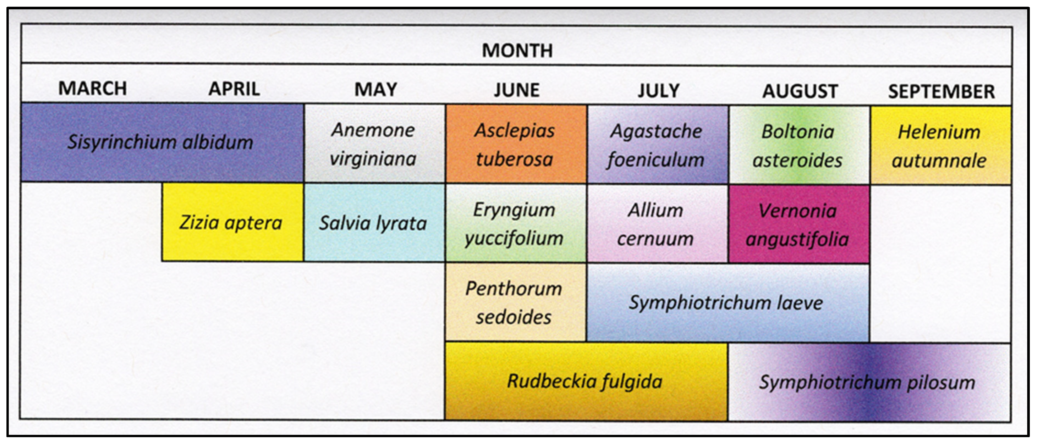 Horticulturae 09 00854 g003 Horticulturae 09 00854 g003