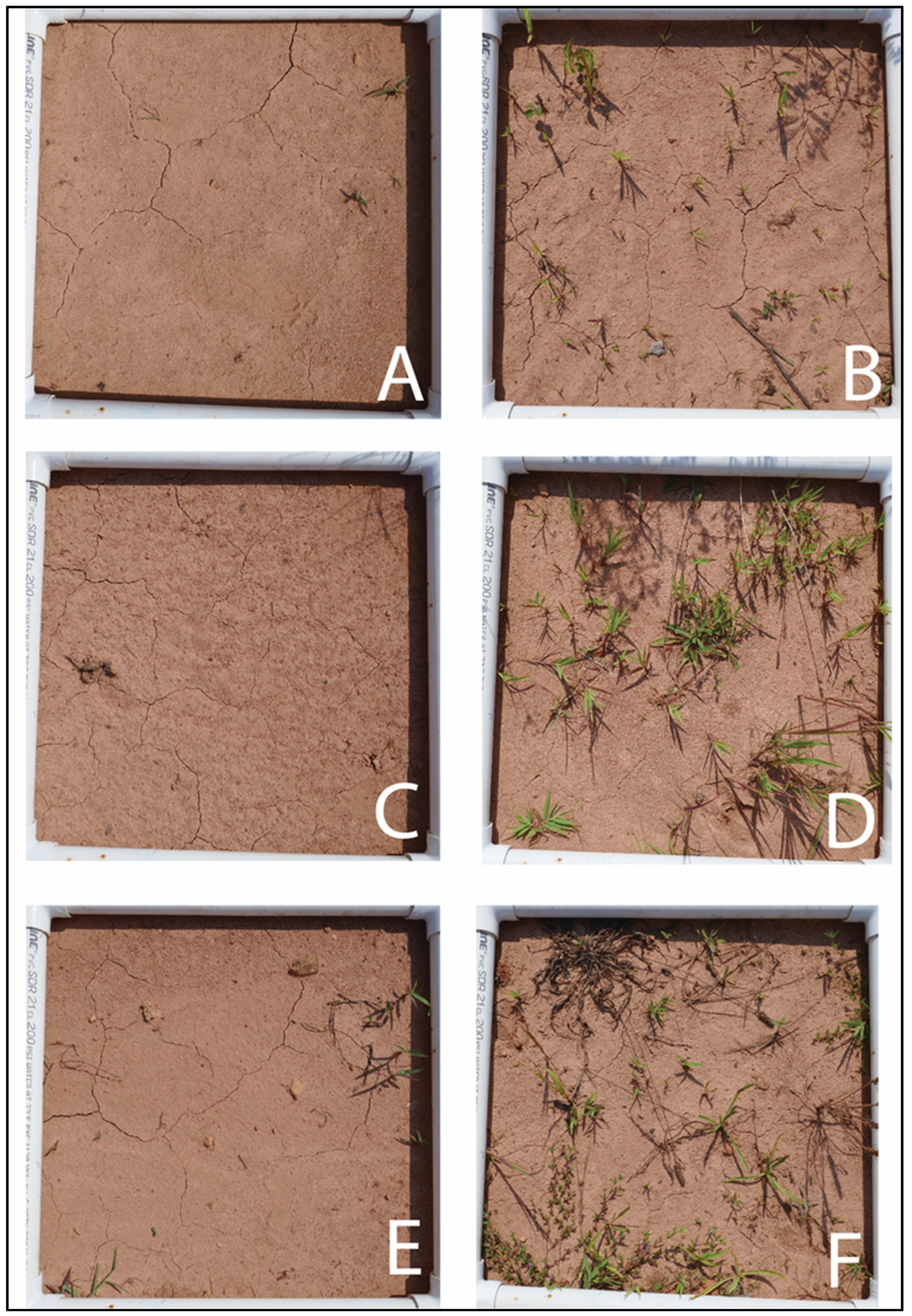 Horticulturae 09 00854 g004 Horticulturae 09 00854 g004