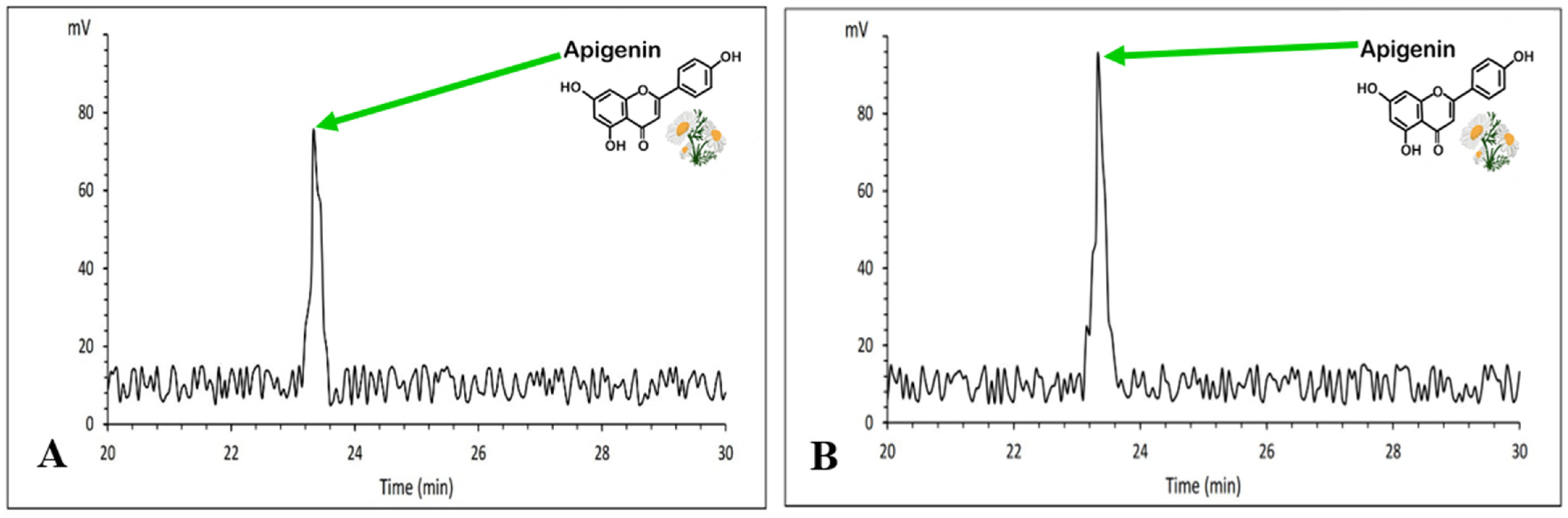 Horticulturae 09 00857 g013 Horticulturae 09 00857 g013