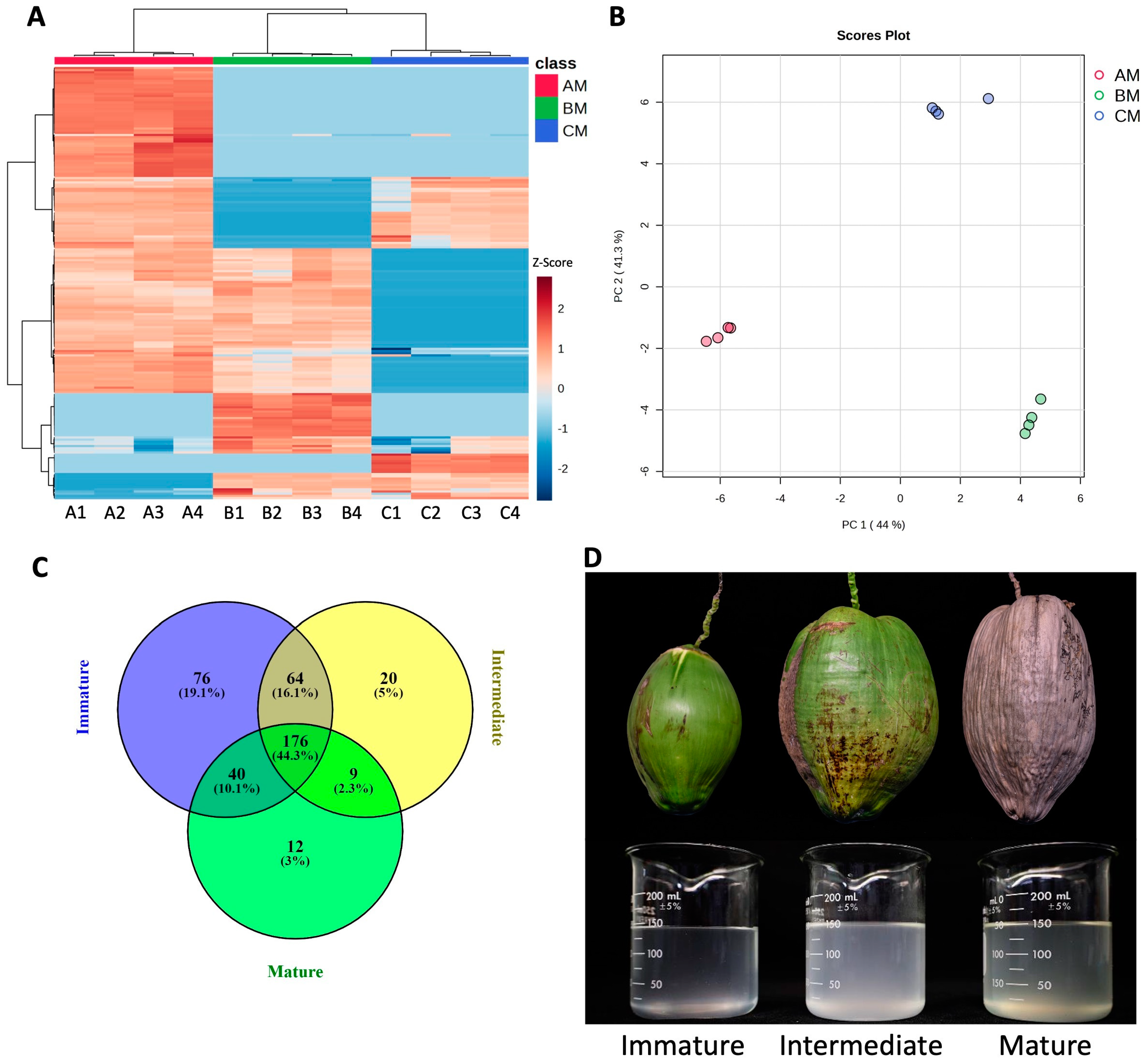 Horticulturae 09 00866 g001 Horticulturae 09 00866 g001