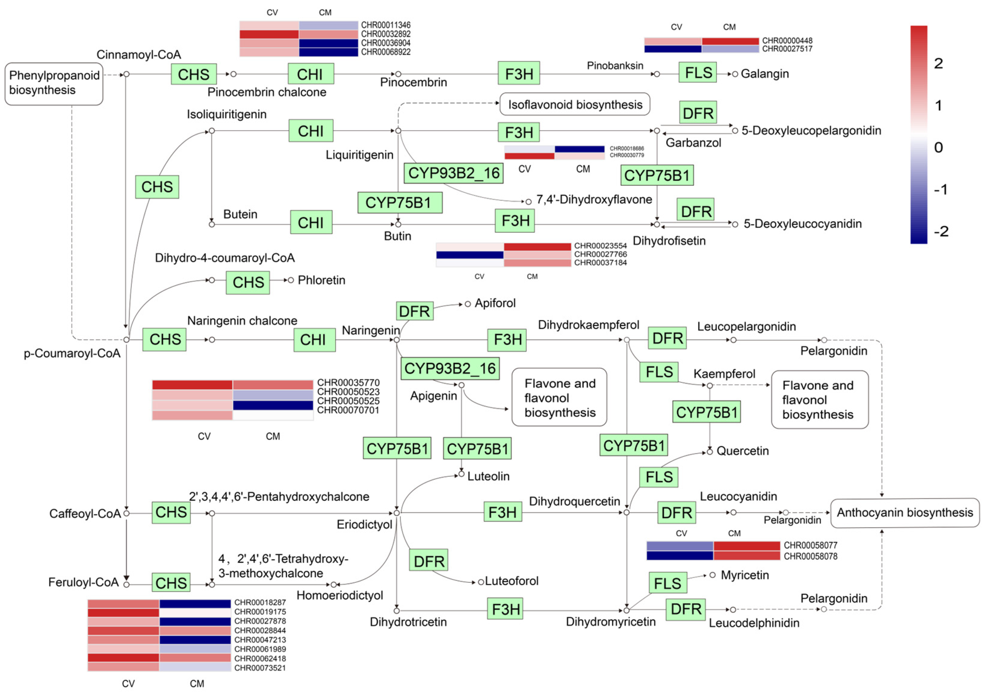 Horticulturae 09 00868 g005 Horticulturae 09 00868 g005