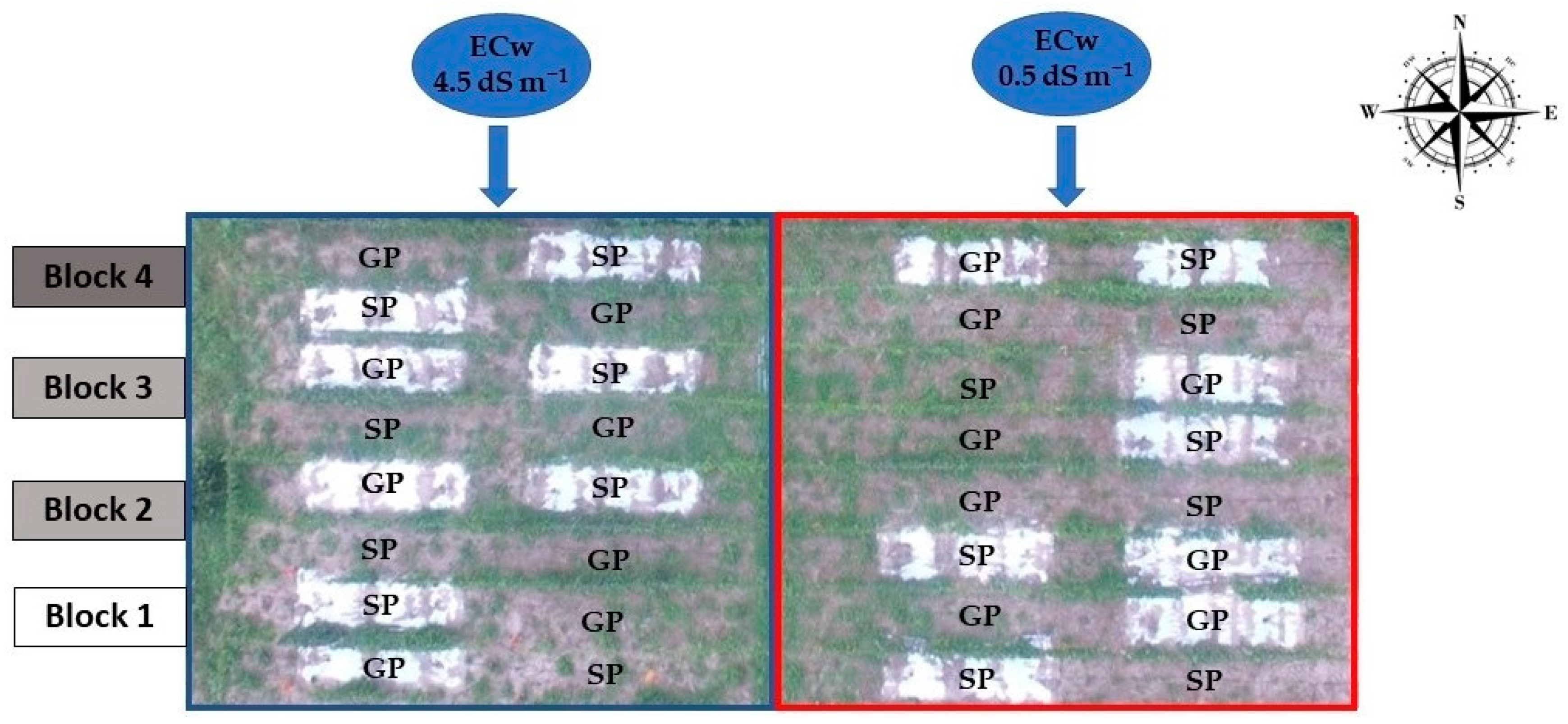 Horticulturae 09 00871 g002 Horticulturae 09 00871 g002