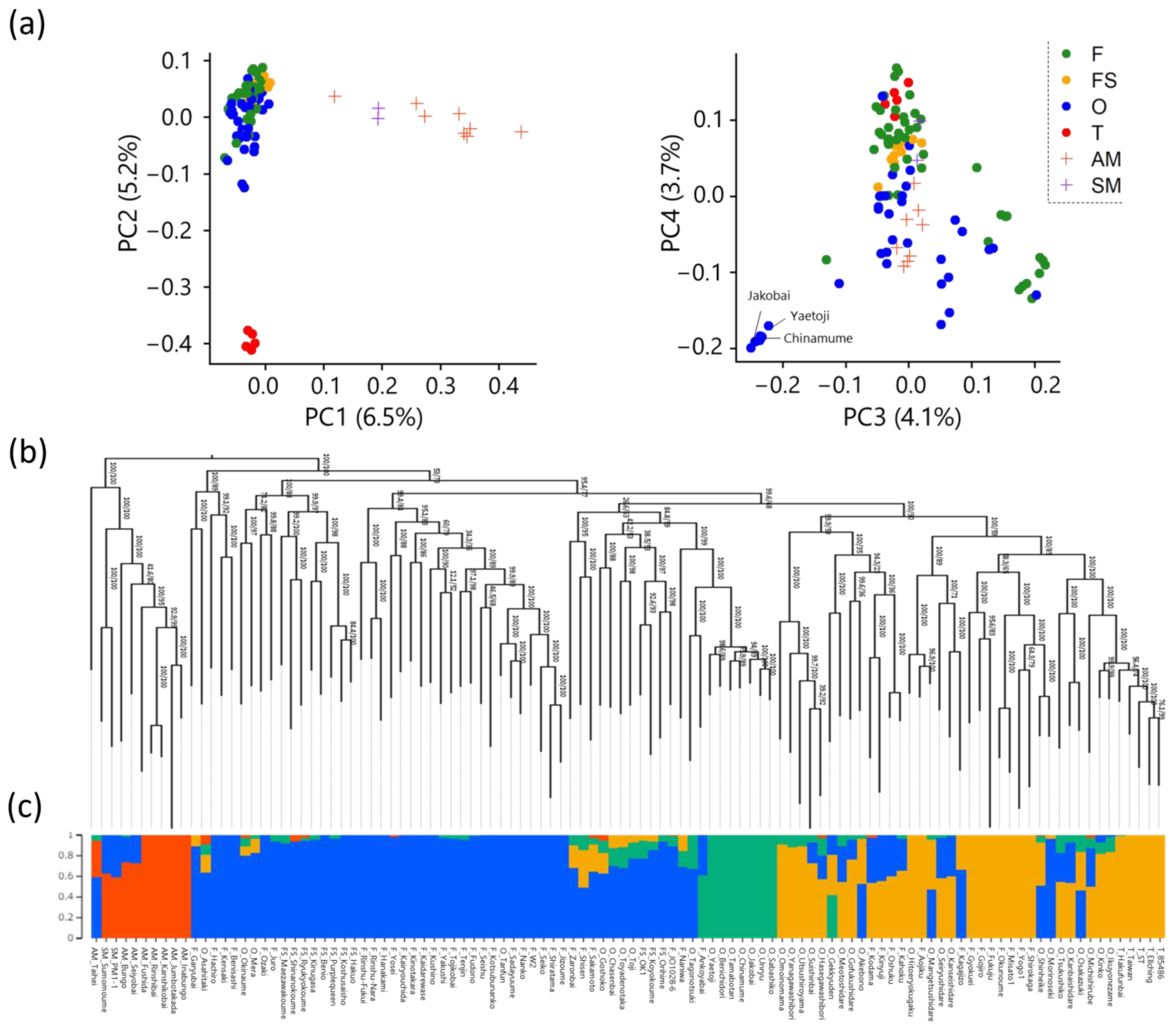 Horticulturae 09 00872 g003 Horticulturae 09 00872 g003