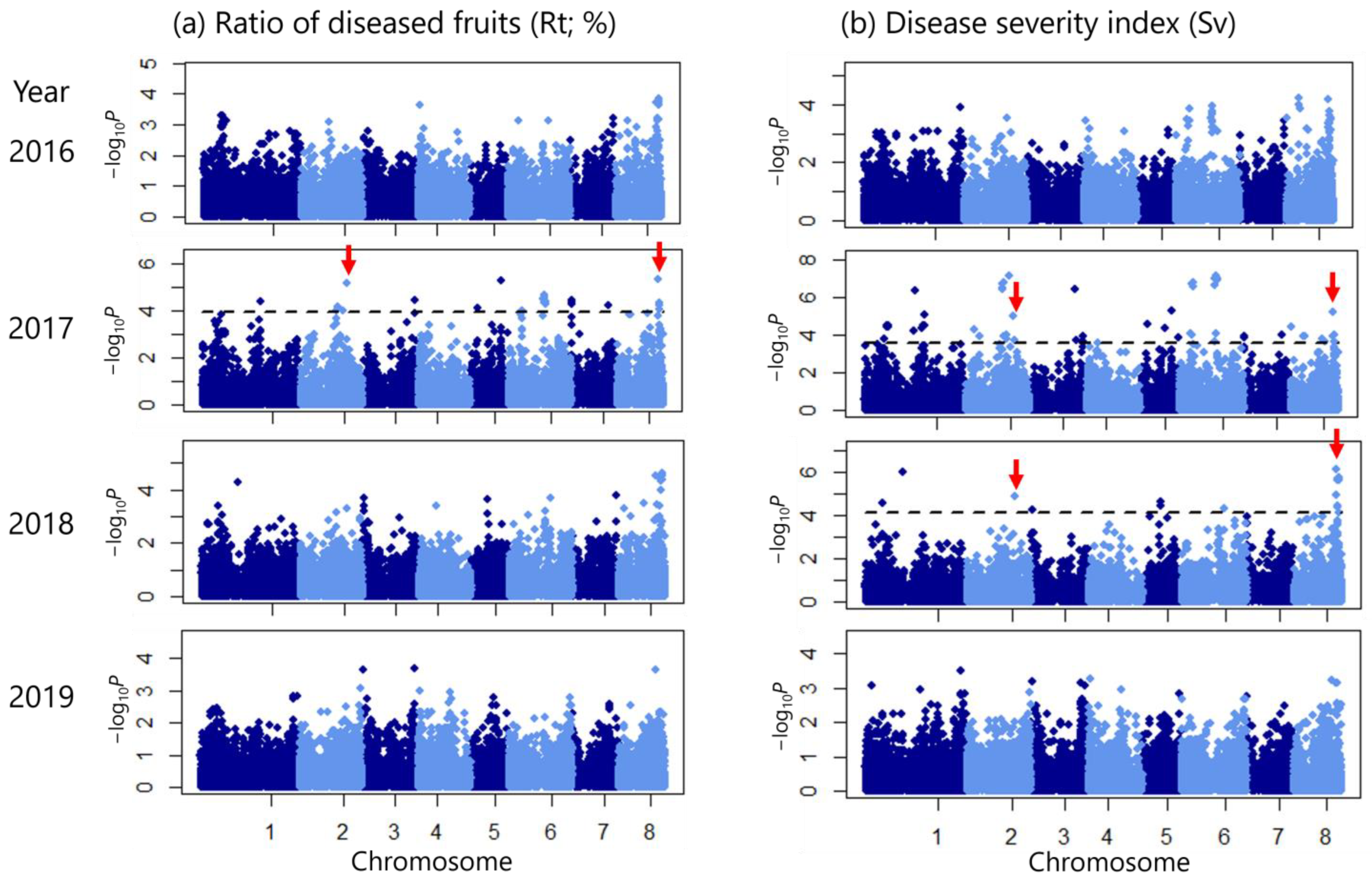 Horticulturae 09 00872 g004 Horticulturae 09 00872 g004
