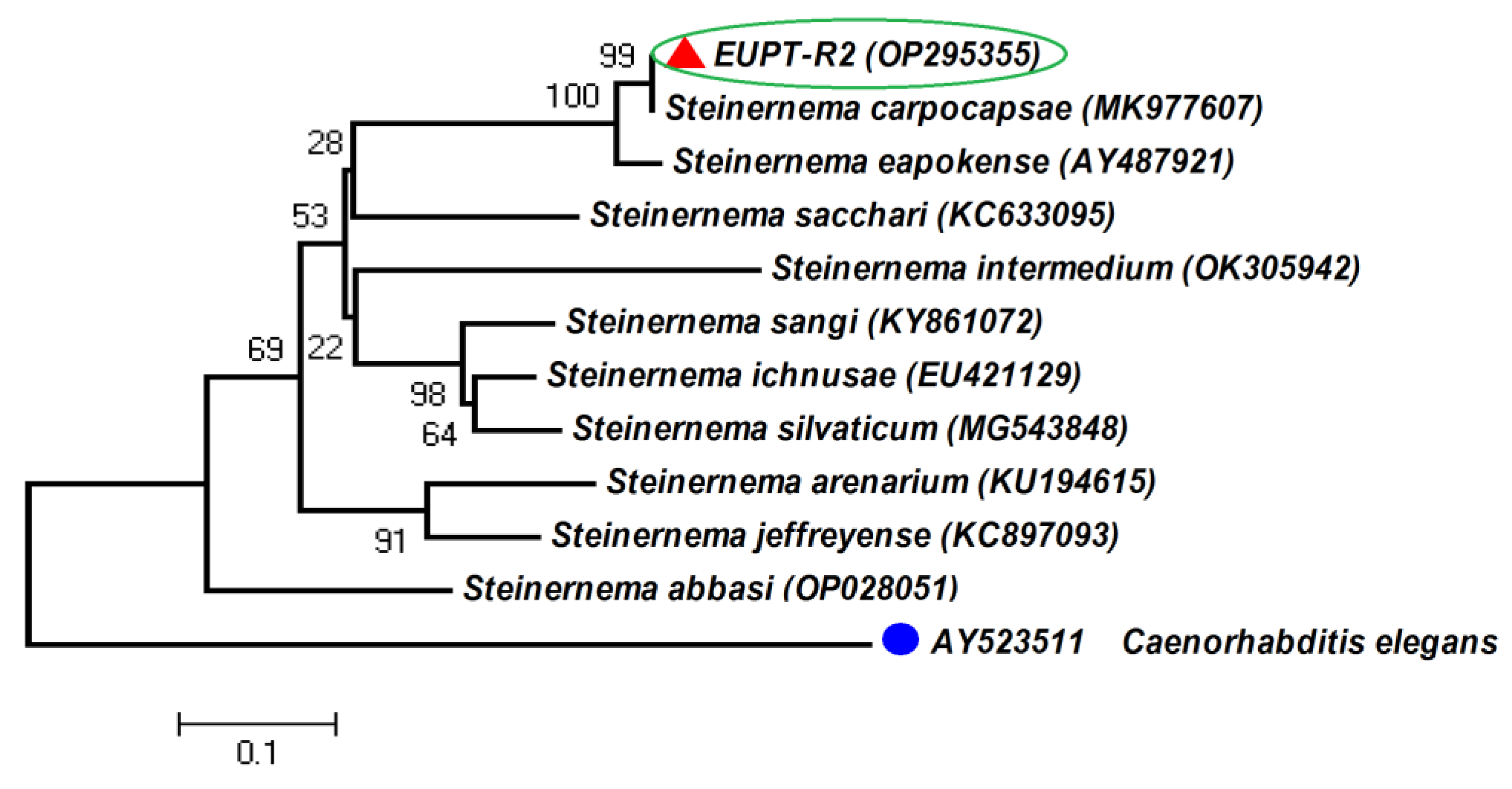 Horticulturae 09 00874 g002 Horticulturae 09 00874 g002