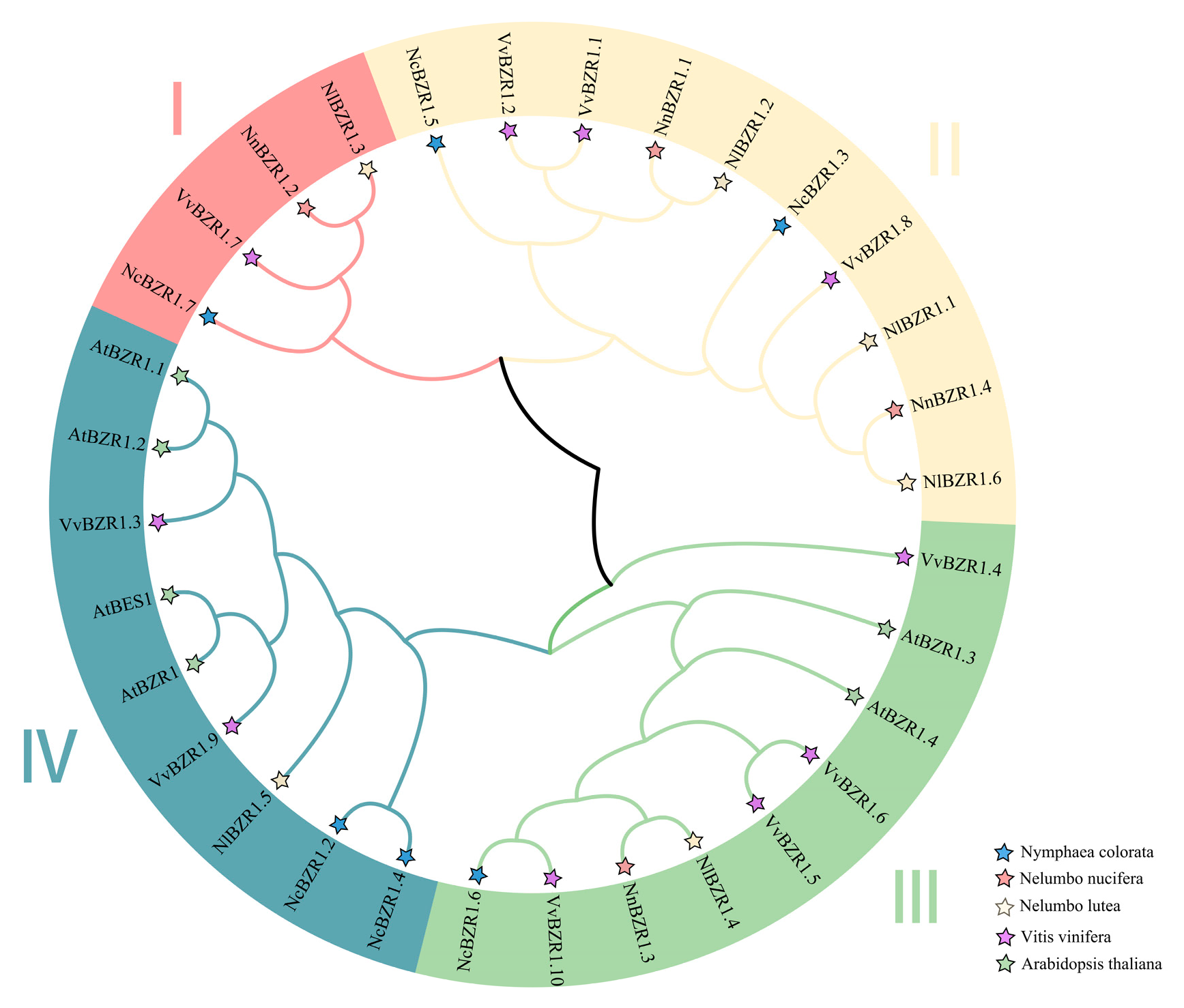Horticulturae 09 00882 g002 Horticulturae 09 00882 g002