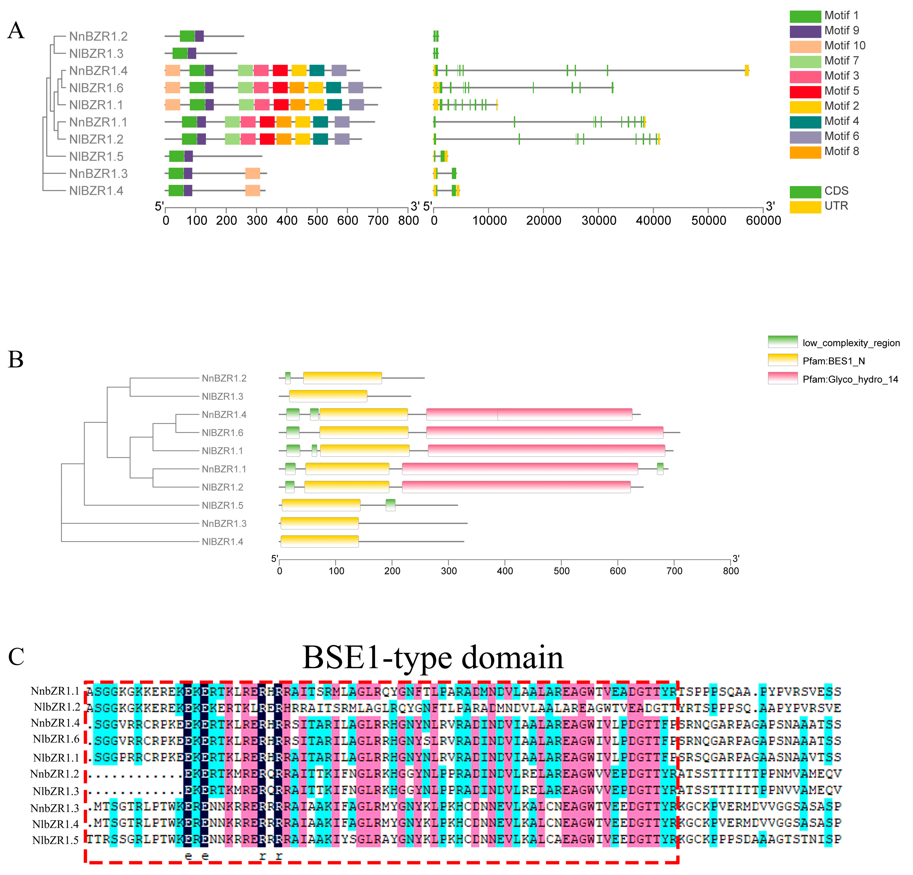 Horticulturae 09 00882 g003 Horticulturae 09 00882 g003