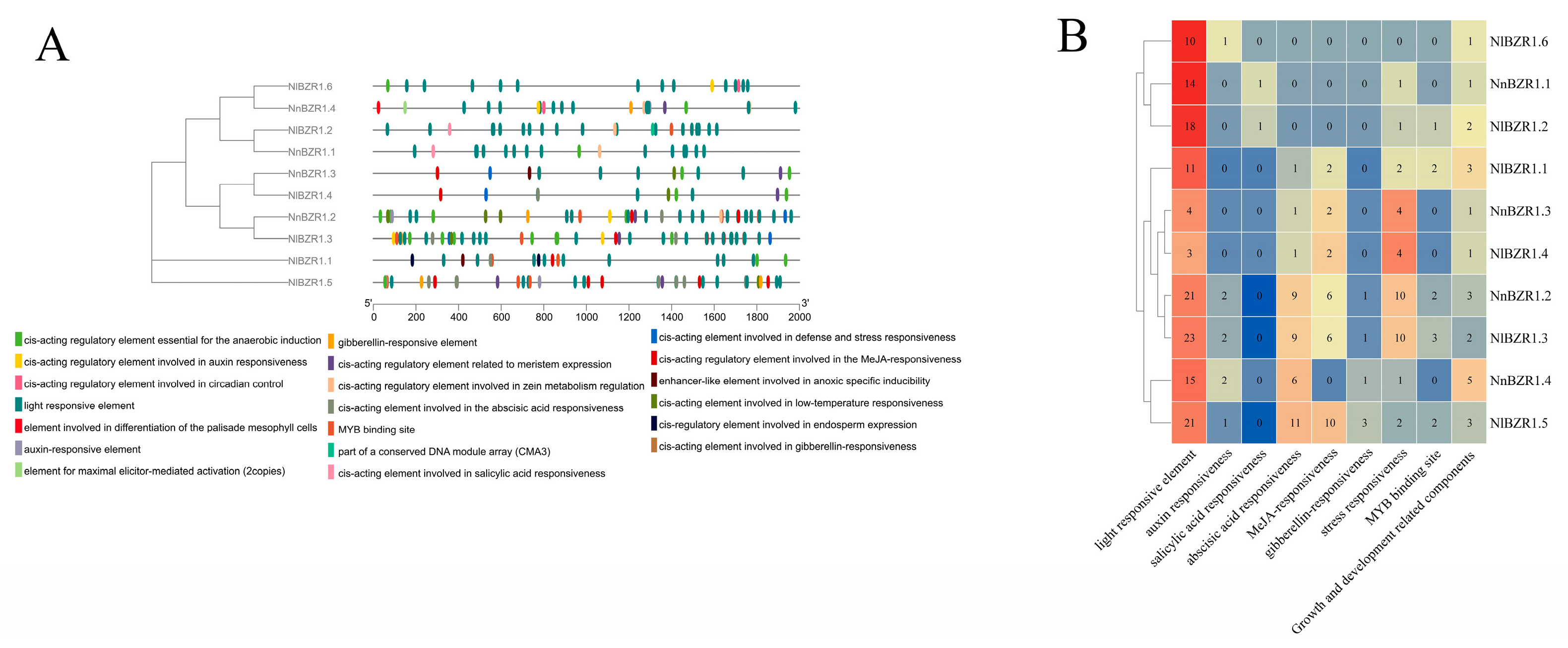 Horticulturae 09 00882 g004 Horticulturae 09 00882 g004