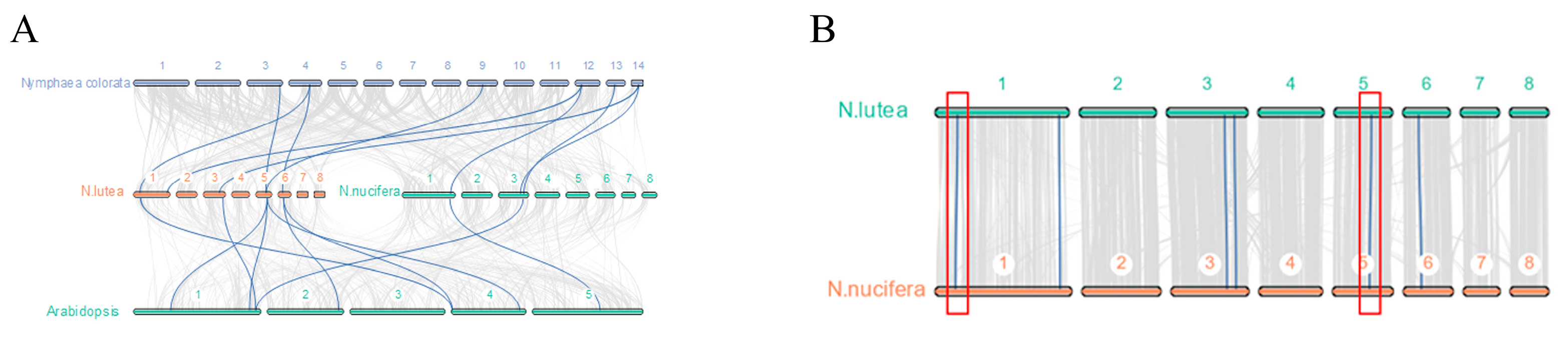 Horticulturae 09 00882 g005 Horticulturae 09 00882 g005