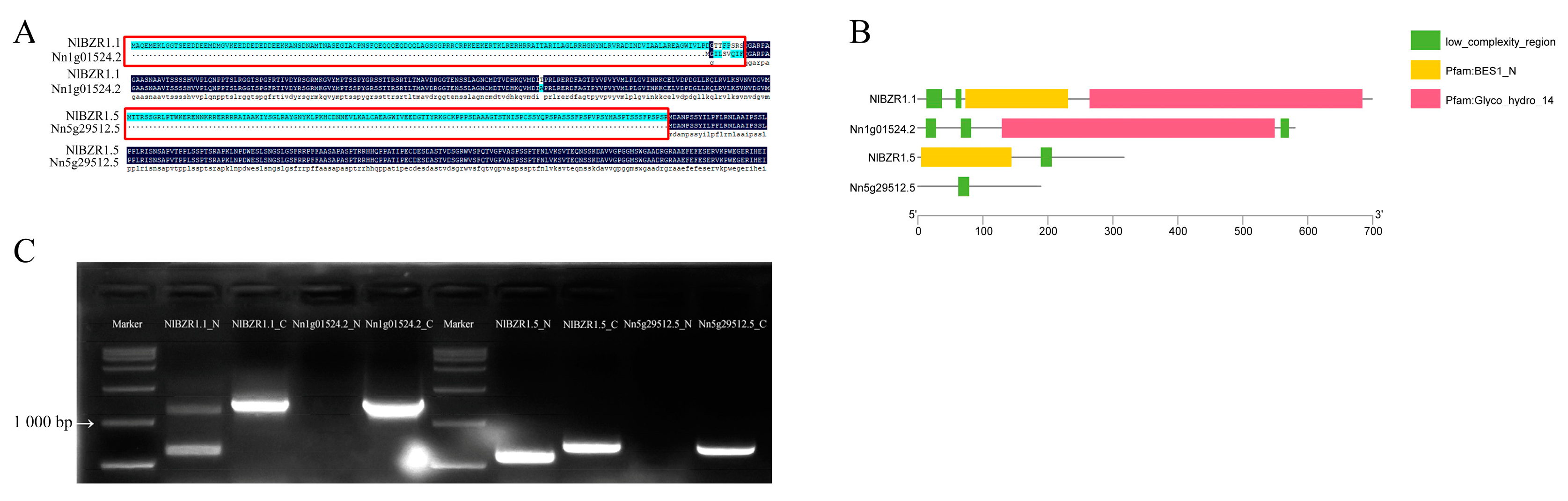 Horticulturae 09 00882 g006 Horticulturae 09 00882 g006
